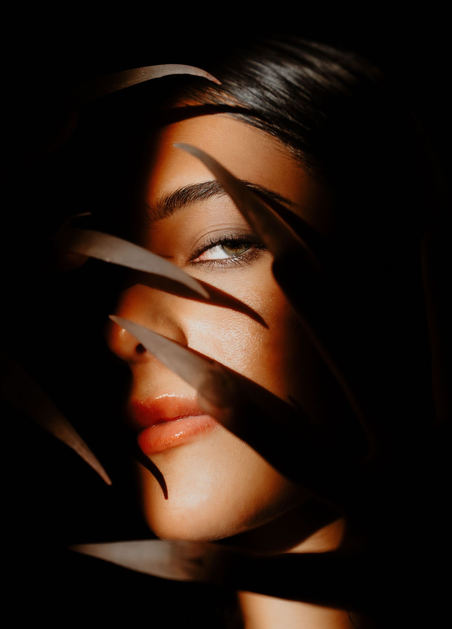 Woman's face partially obscured by tropical leaves in dramatic shadow and light photography.