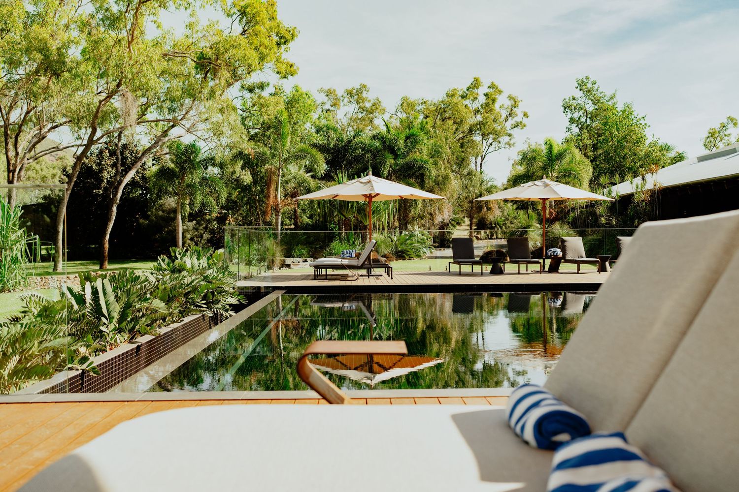 Luxury resort pool surrounded by lush trees with white umbrellas and lounge chairs on a sunny day.