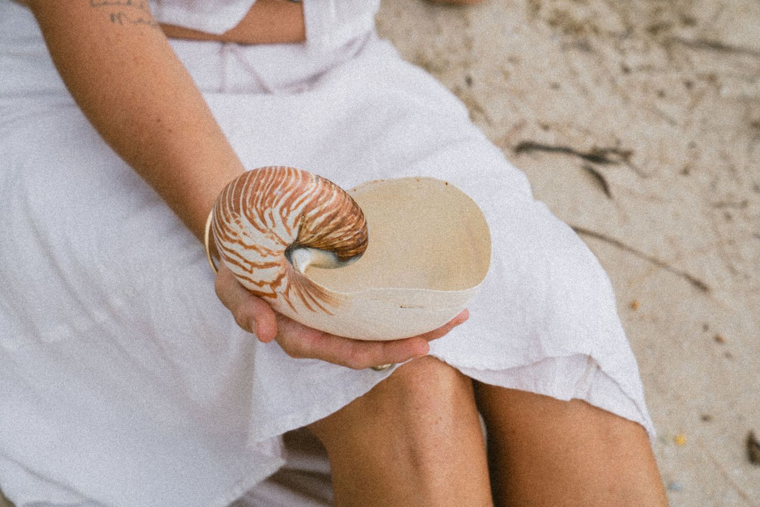 Close-up of a woman in a white dress holding a large nautilus shell on a sandy beach.