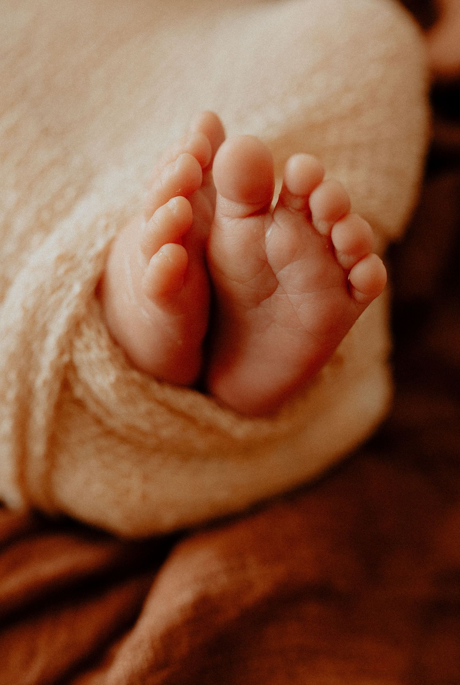 Soft close-up of a newborn baby's tiny feet wrapped in a warm beige blanket.