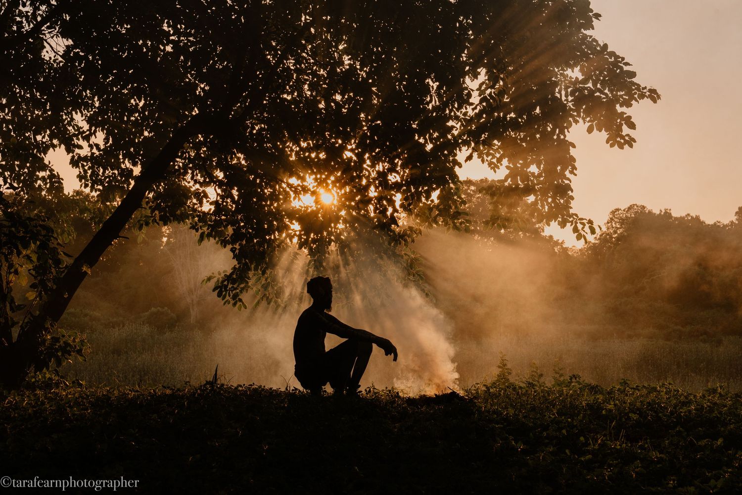 Silhouette of a person sitting peacefully under a tree during a golden misty sunset in nature.