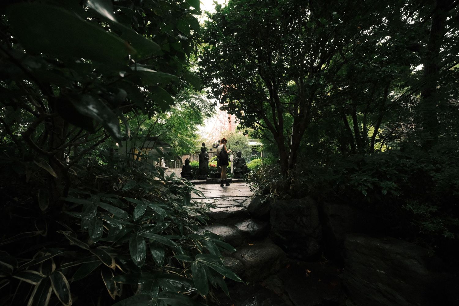 People walking through a lush green forest path surrounded by dense tropical foliage and trees.