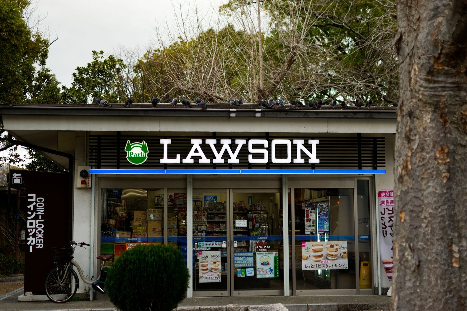 Lawson convenience store exterior with green logo sign and bicycle parked outside in Japan.