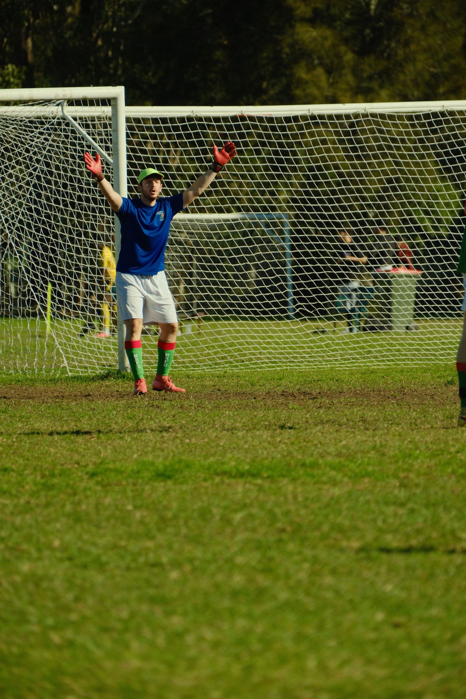 Soccer goalkeeper in blue jersey raises arms near goal post on green field during a match.