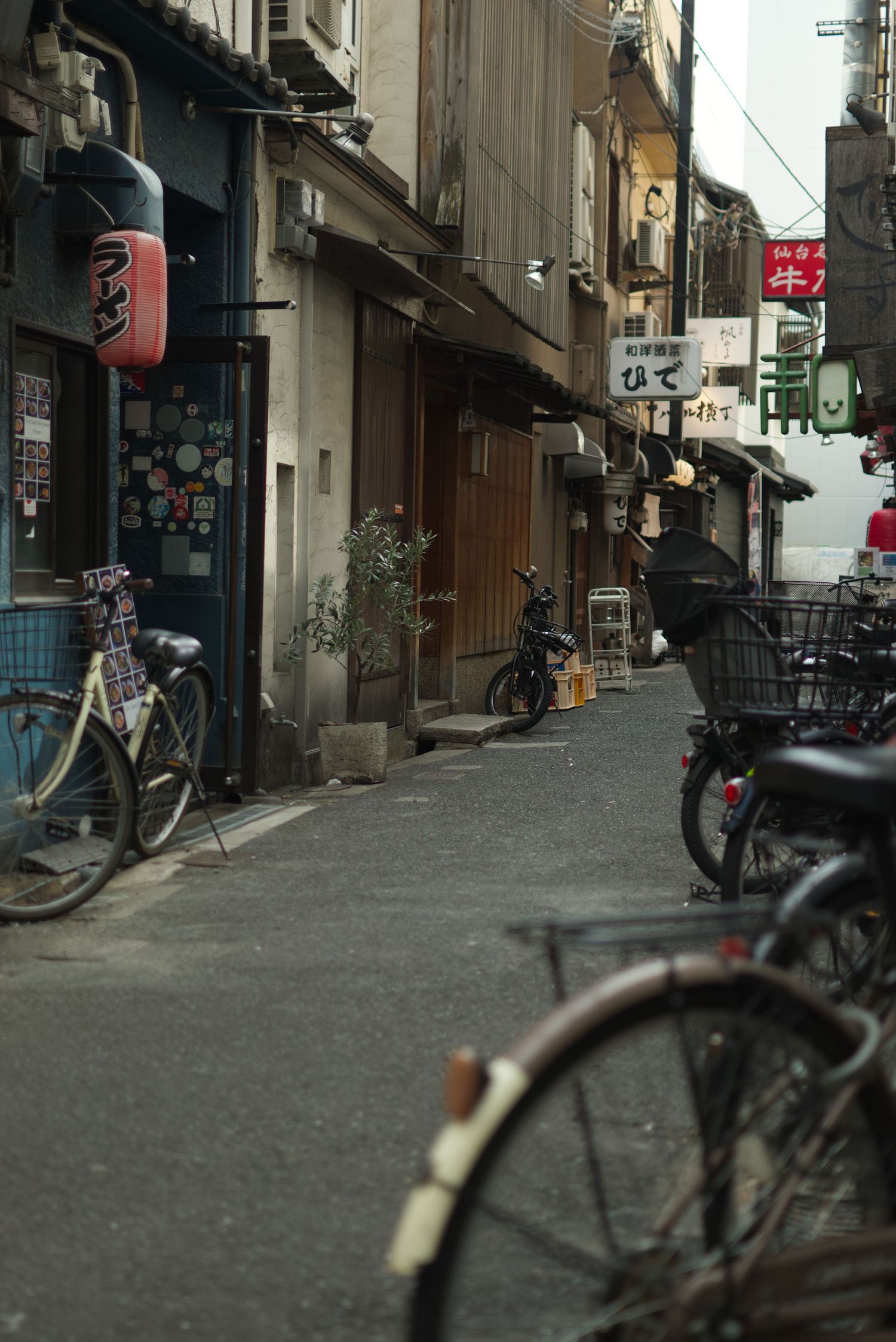 Quiet Japanese alleyway with parked bicycles and traditional lantern-lit storefronts.