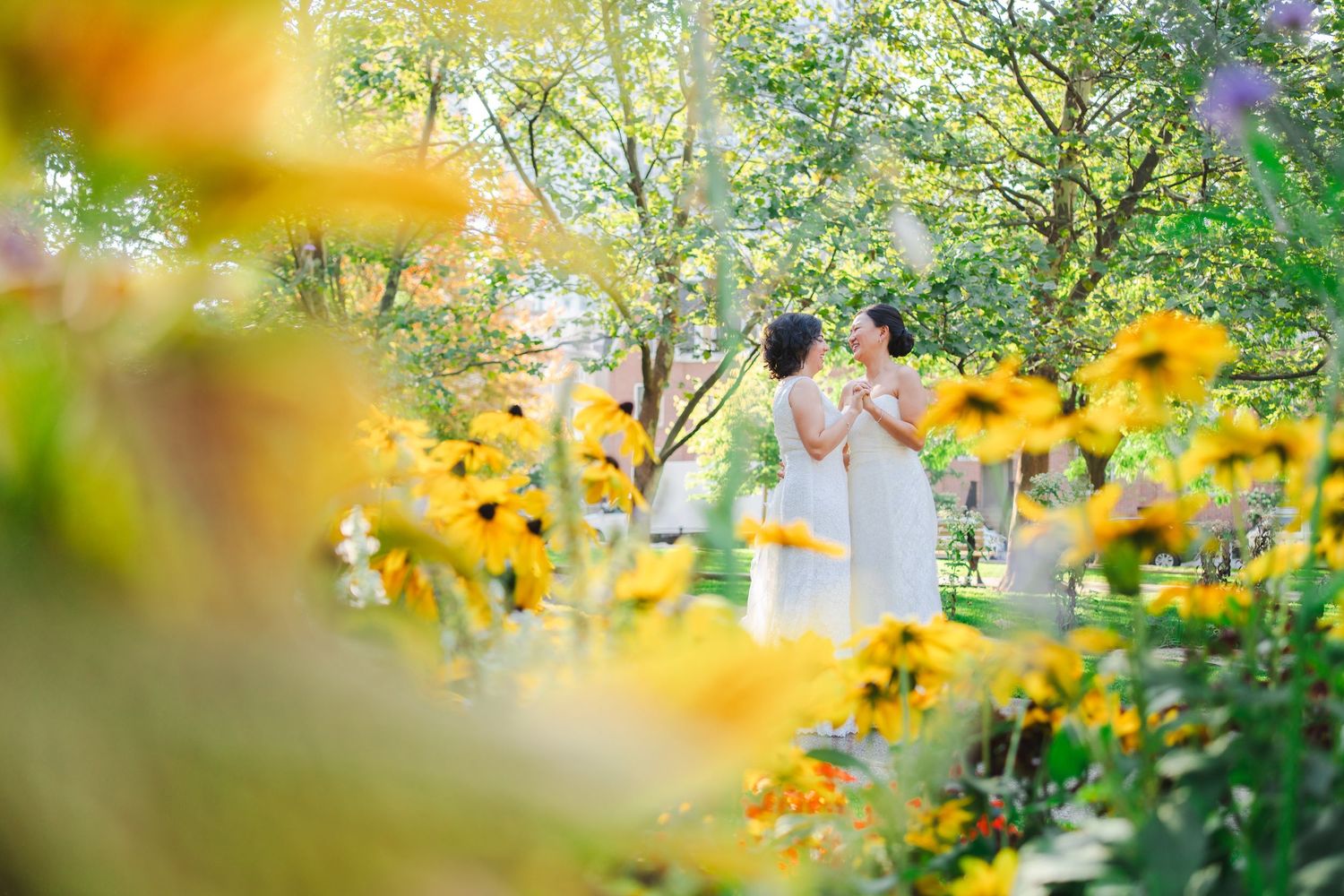 Massey Harris Park, downtown Toronto, garden, wild flowers, yellow flowers, daisies, autumn wedding, outdoors, LGBTQ, LGBTQ2S, micro wedding