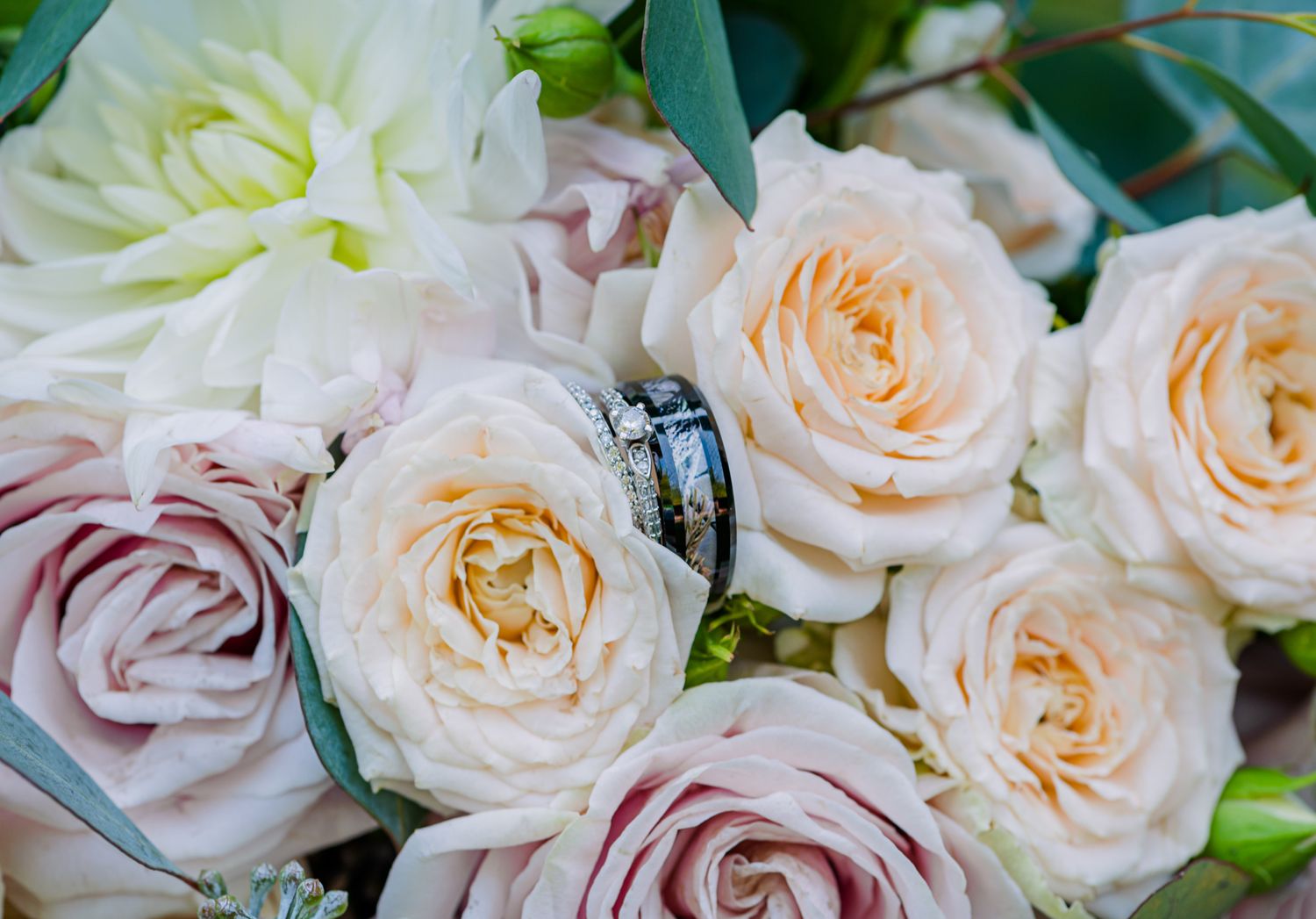 Fraser Valley wedding rings resting on a bouquet of blush and cream roses with eucalyptus greenery.