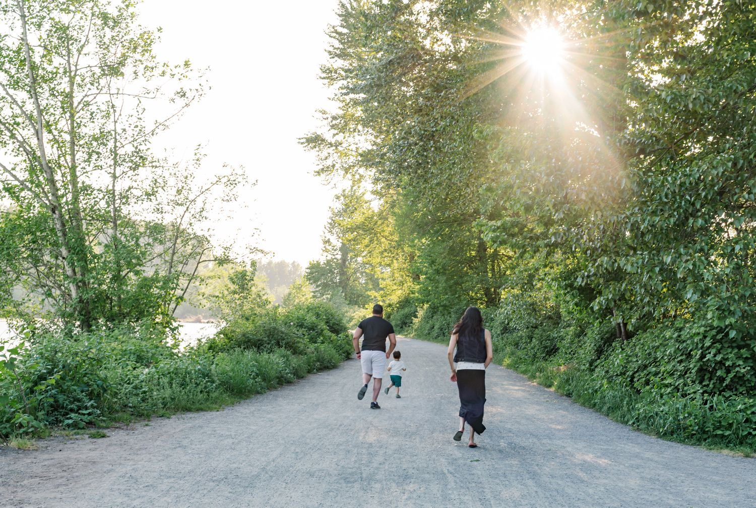 Fraser Valley family walking together on a scenic tree-lined path with sunlight streaming through lush green trees.