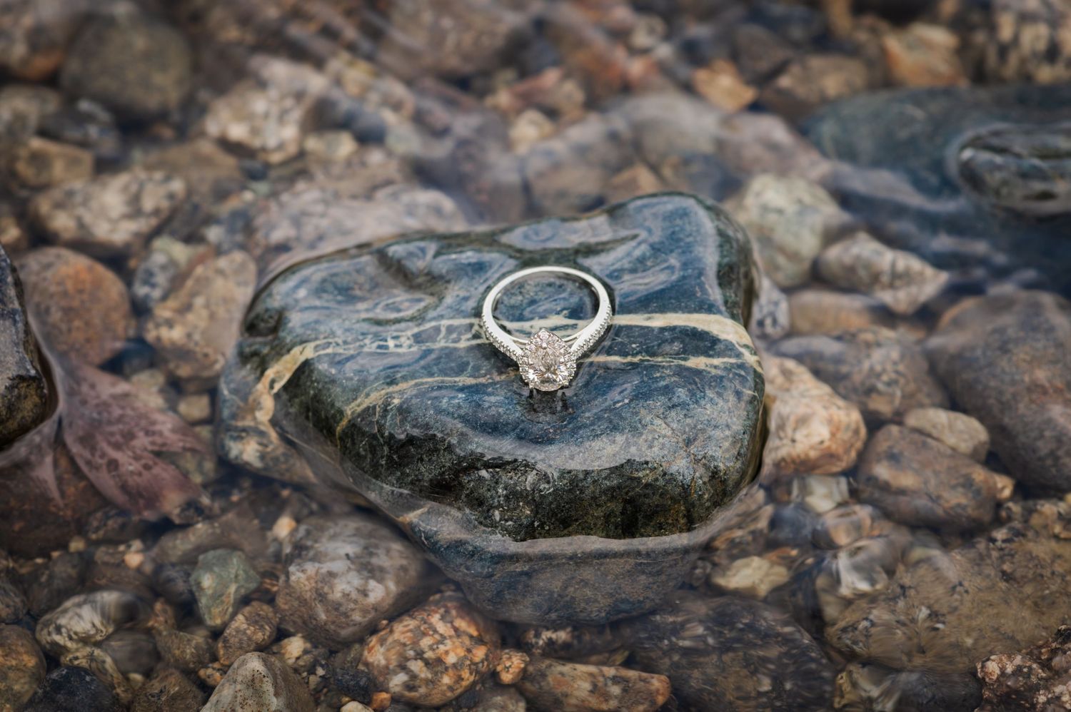 Silver diamond engagement ring resting on a smooth dark stone surrounded by colorful pebbles in shallow water at Golden Ears Park.