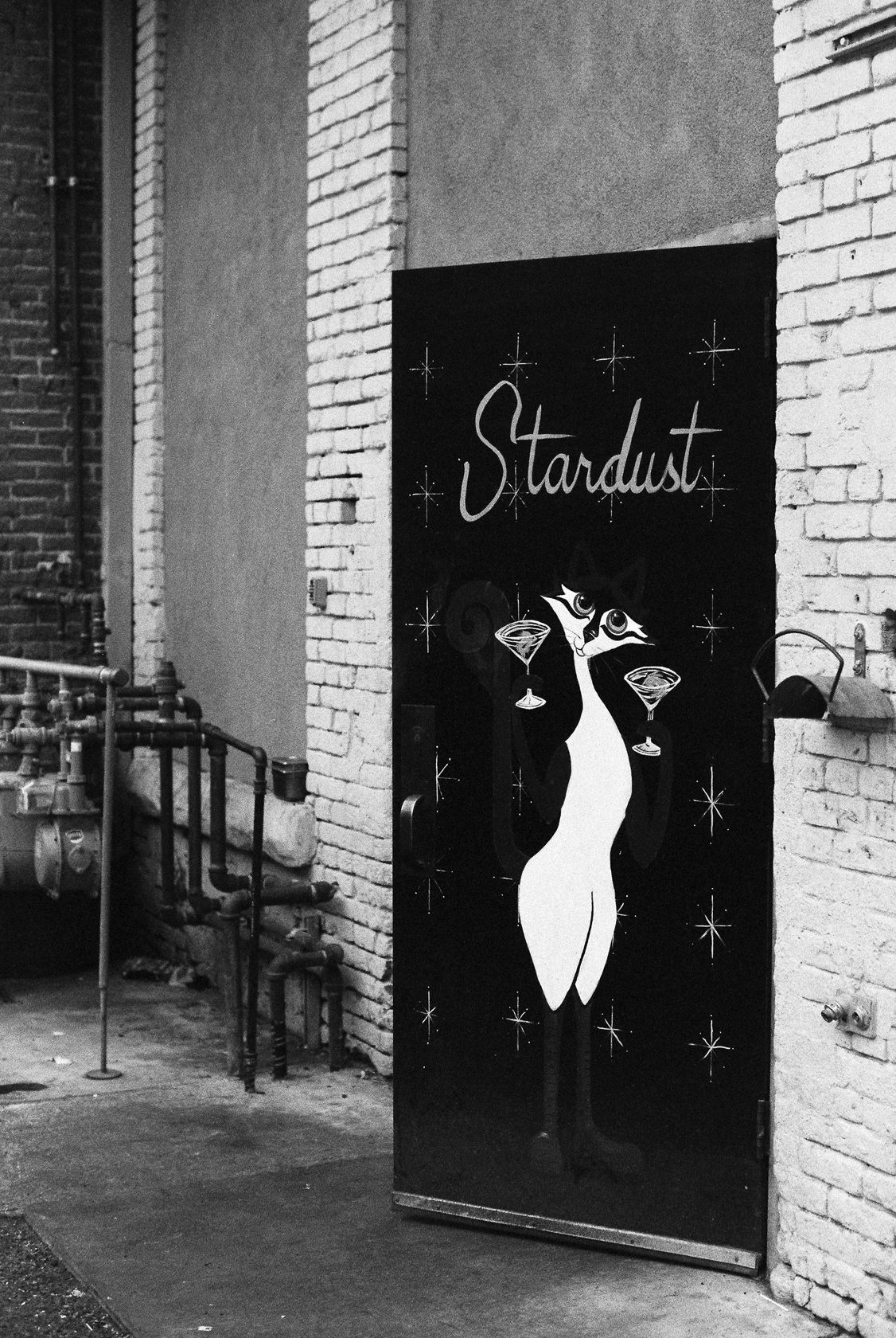 Stardust. T-max 3200 Black and white film. Boise, Idaho