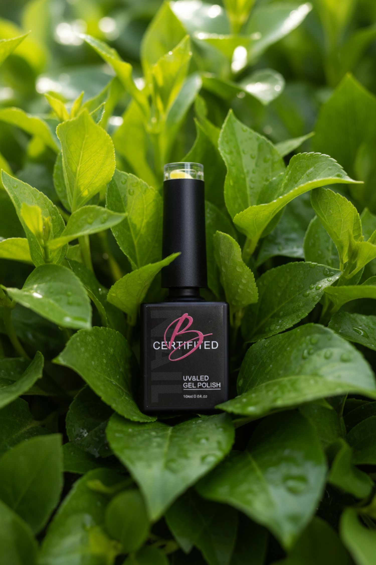B Certified UV/LED gel polish bottle in black sitting among vibrant green leaves with water droplets.