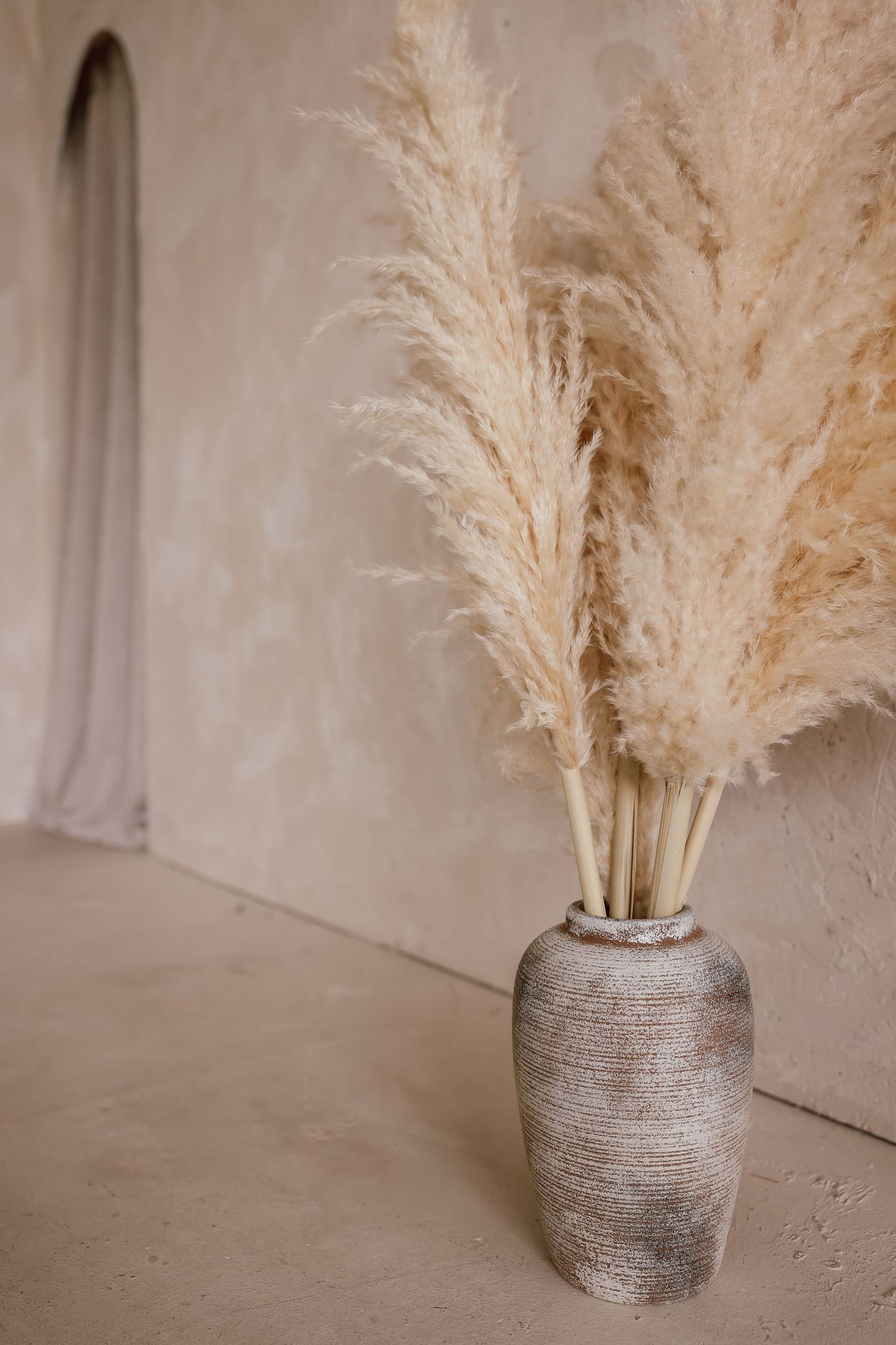 Rustic ceramic vase with tall pampas grass stems against a neutral beige textured wall in a minimalist boho interior.