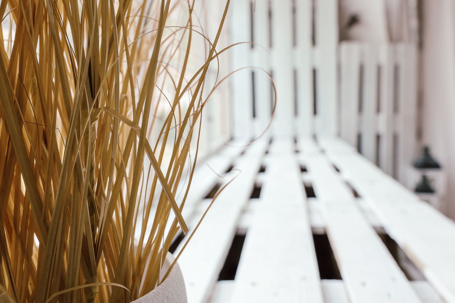 Dried golden grass stems in a white pot beside a white wooden slatted bench outdoors.