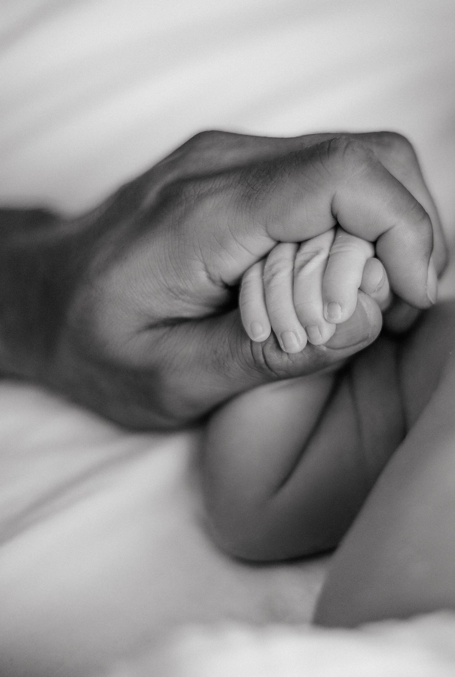 Black and white photo of a newborn baby's tiny hand grasping an adult's finger, symbolizing new life and parental bond.