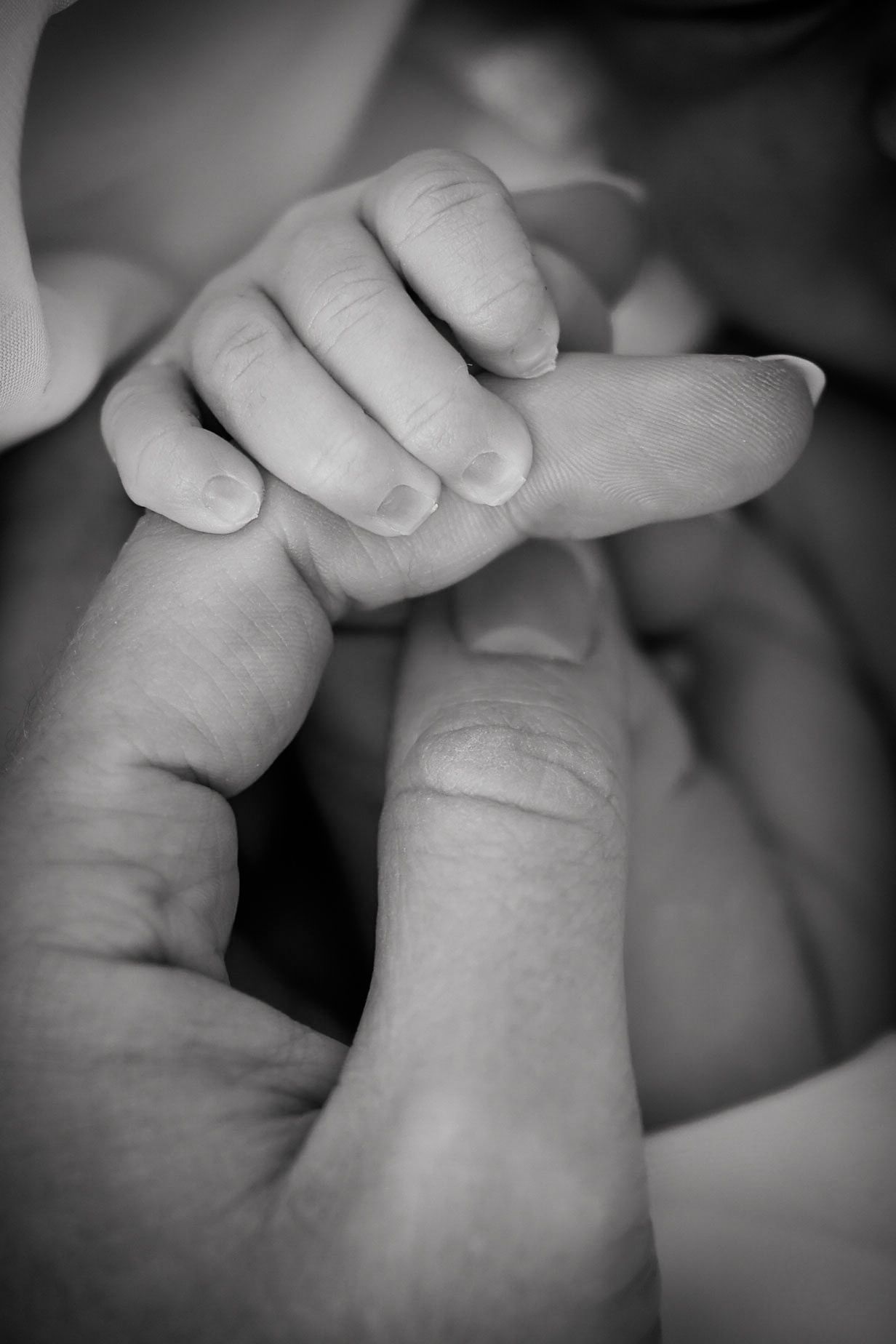 Black and white close-up of a newborn baby's tiny hand gripping an adult's finger.