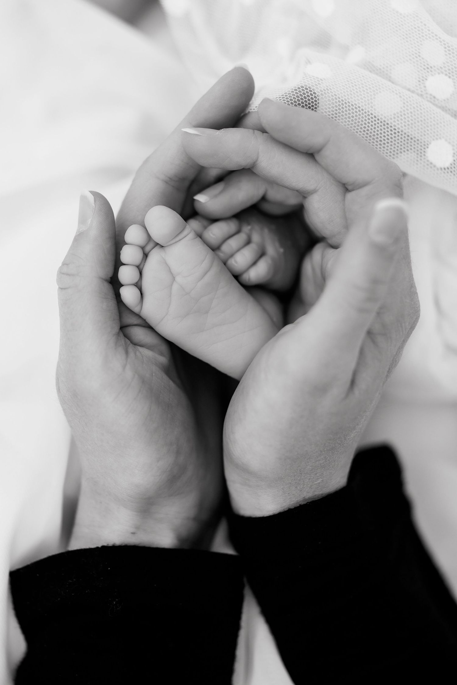 Black and white photo of adult hands cradling a newborn baby's tiny feet, symbolizing love and new parenthood.