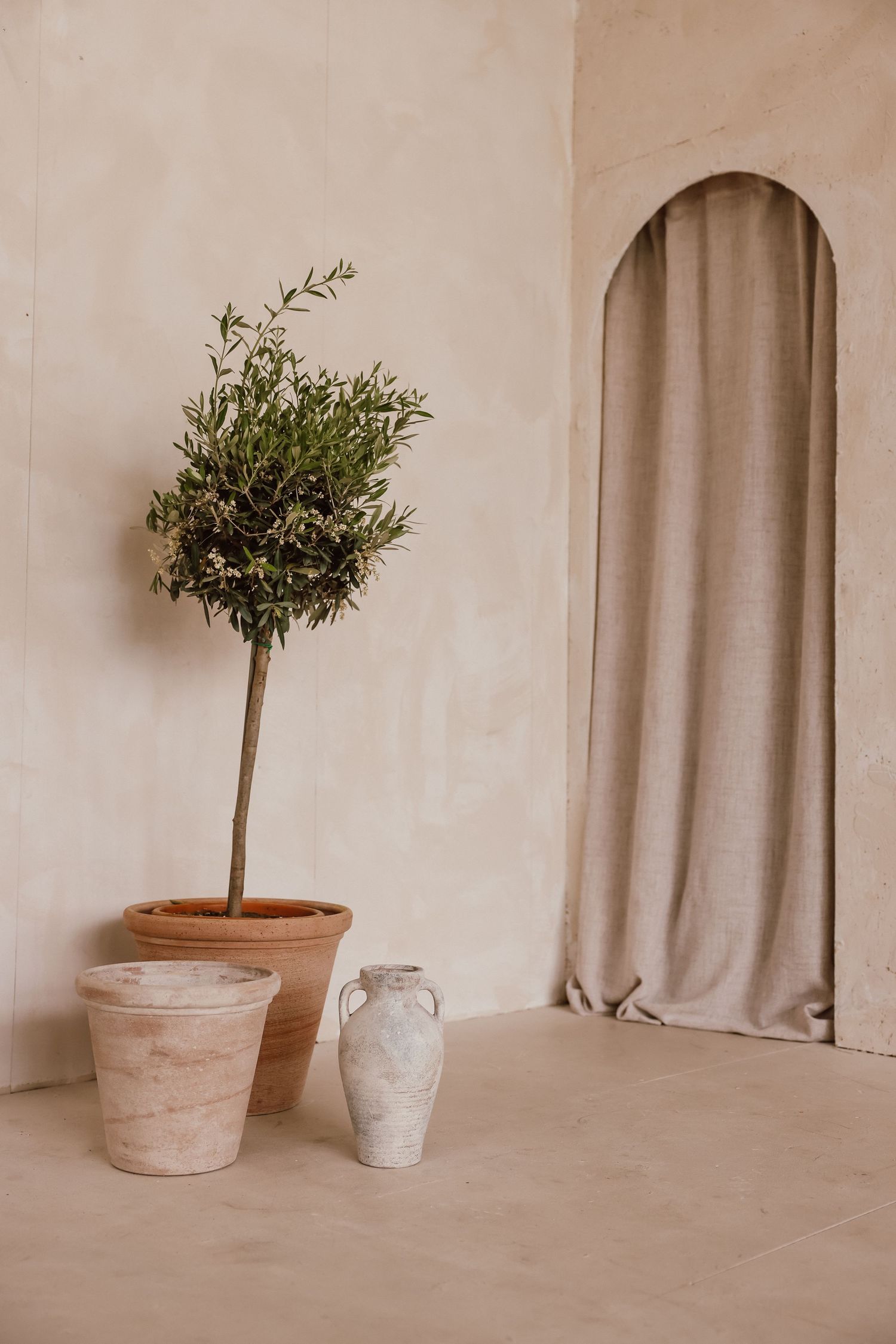 Minimalist Mediterranean interior with olive tree in terracotta pot, ceramic vase, and arched doorway with linen curtain.