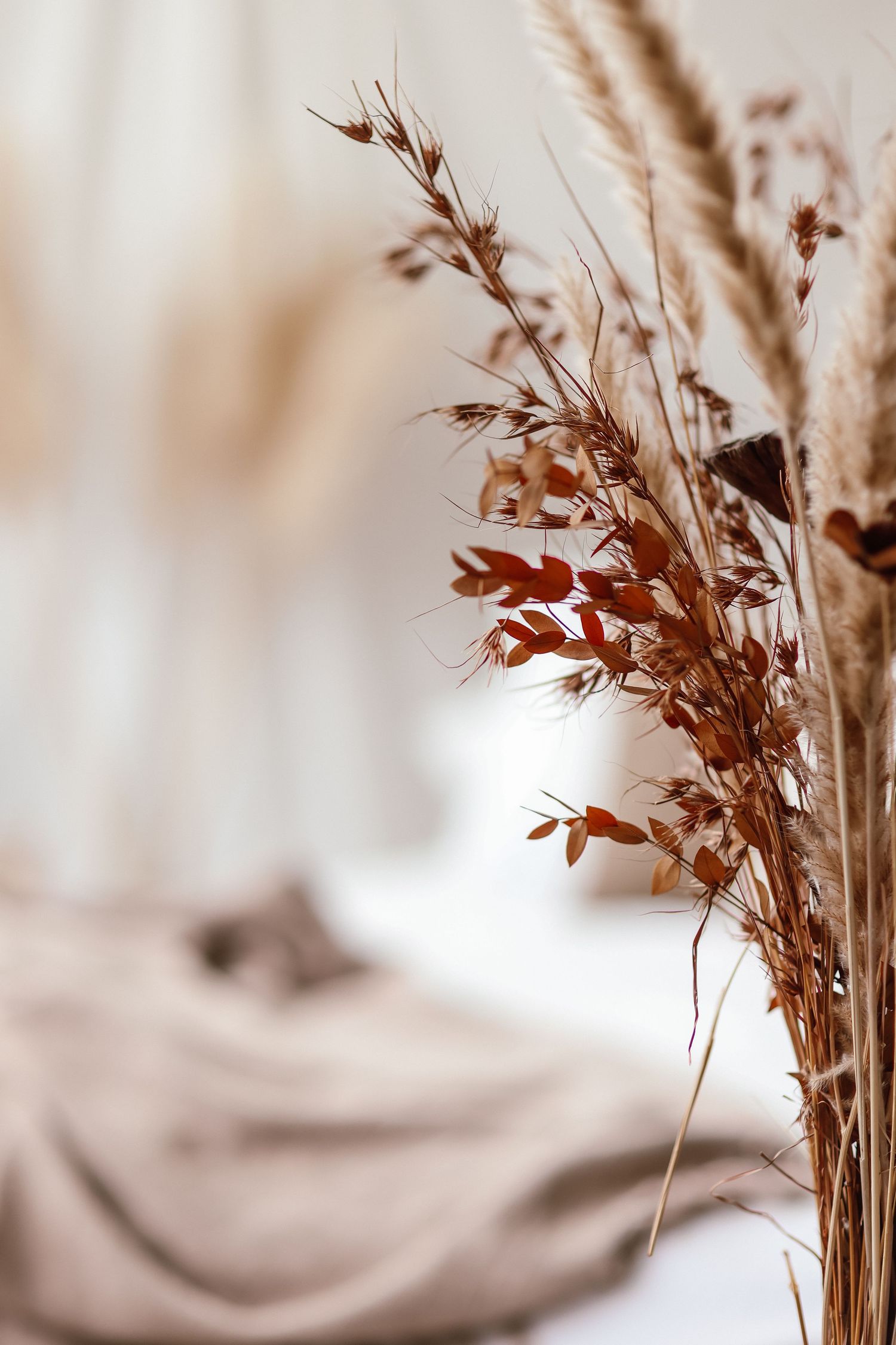 Dried autumn grasses and red foliage arrangement in warm earth tones against a soft blurred neutral background.