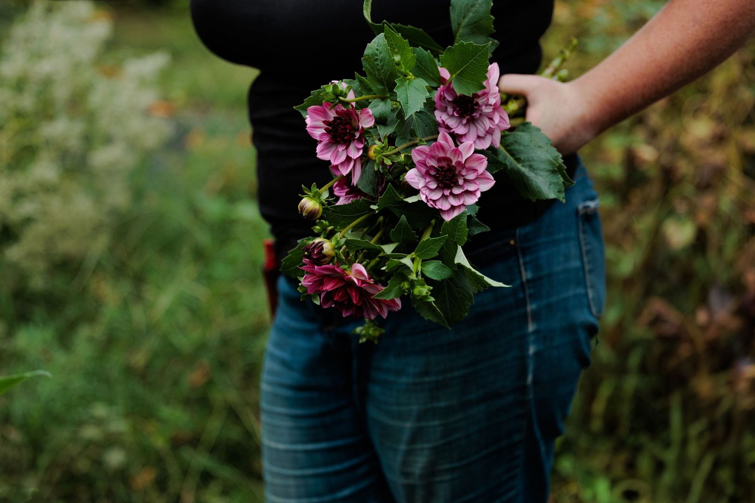 Hand holding delicate pink flowers against denim in a garden setting.