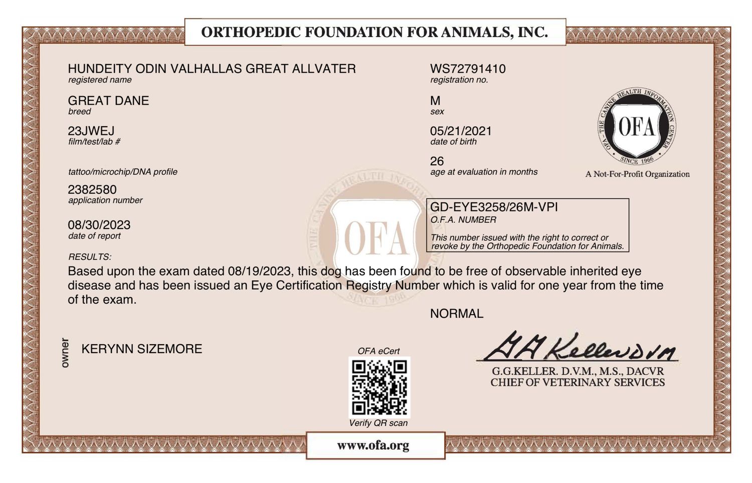 Official brown certification document from Orthopedic Foundation for Animals with QR code.
