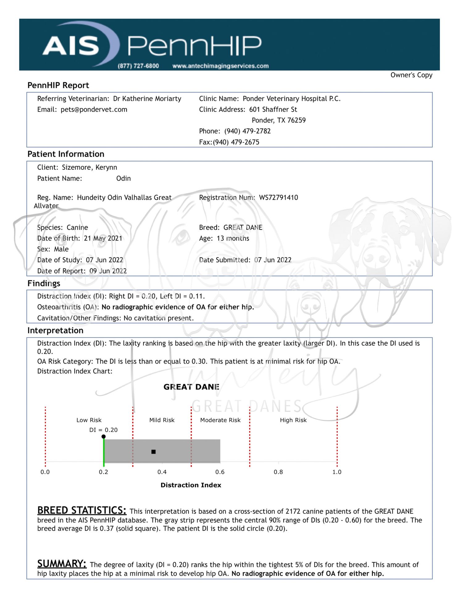 Medical report showing breed statistics and patient information details on a veterinary form.
