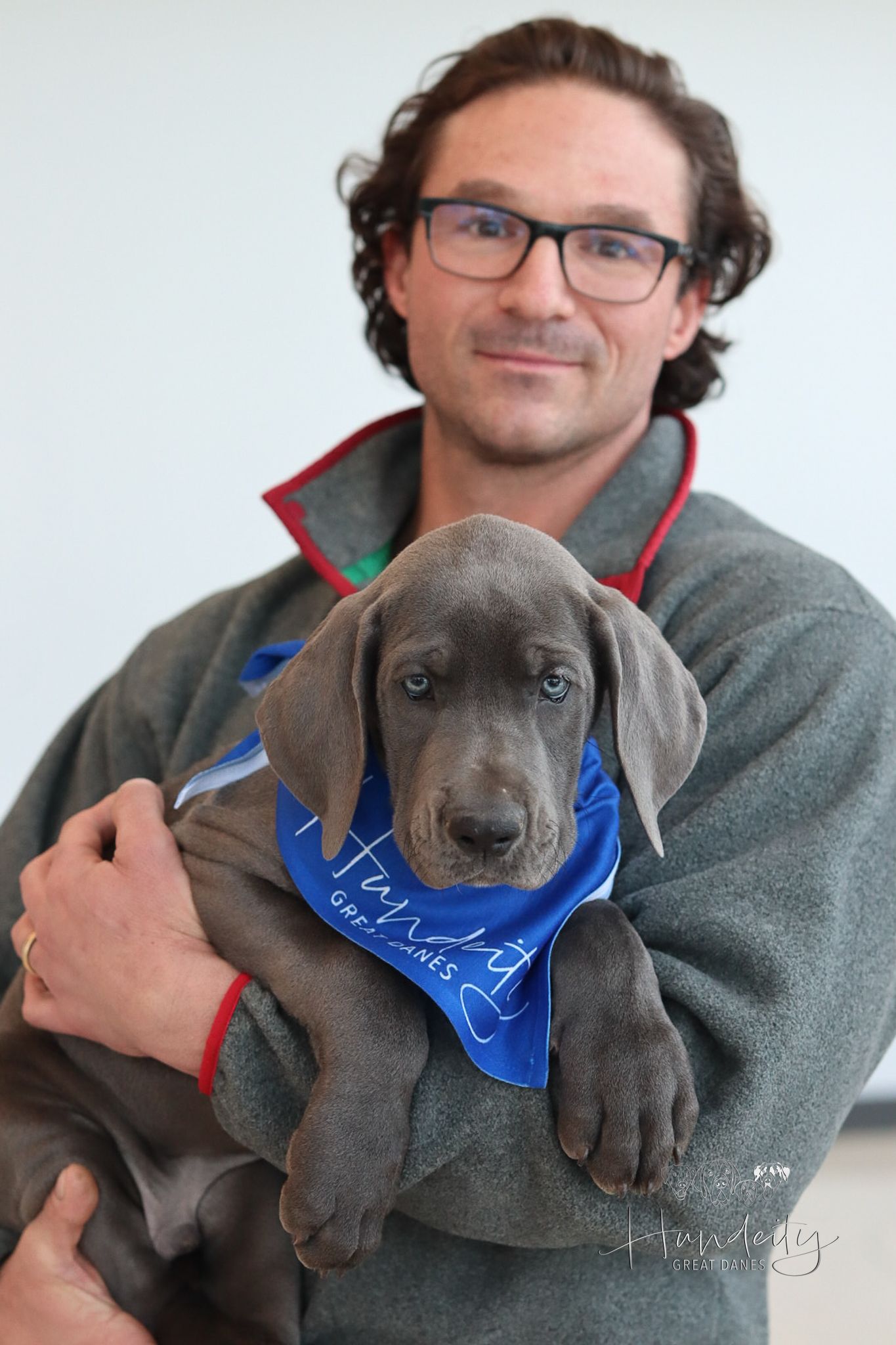 Makai - Blue Male Great Dane