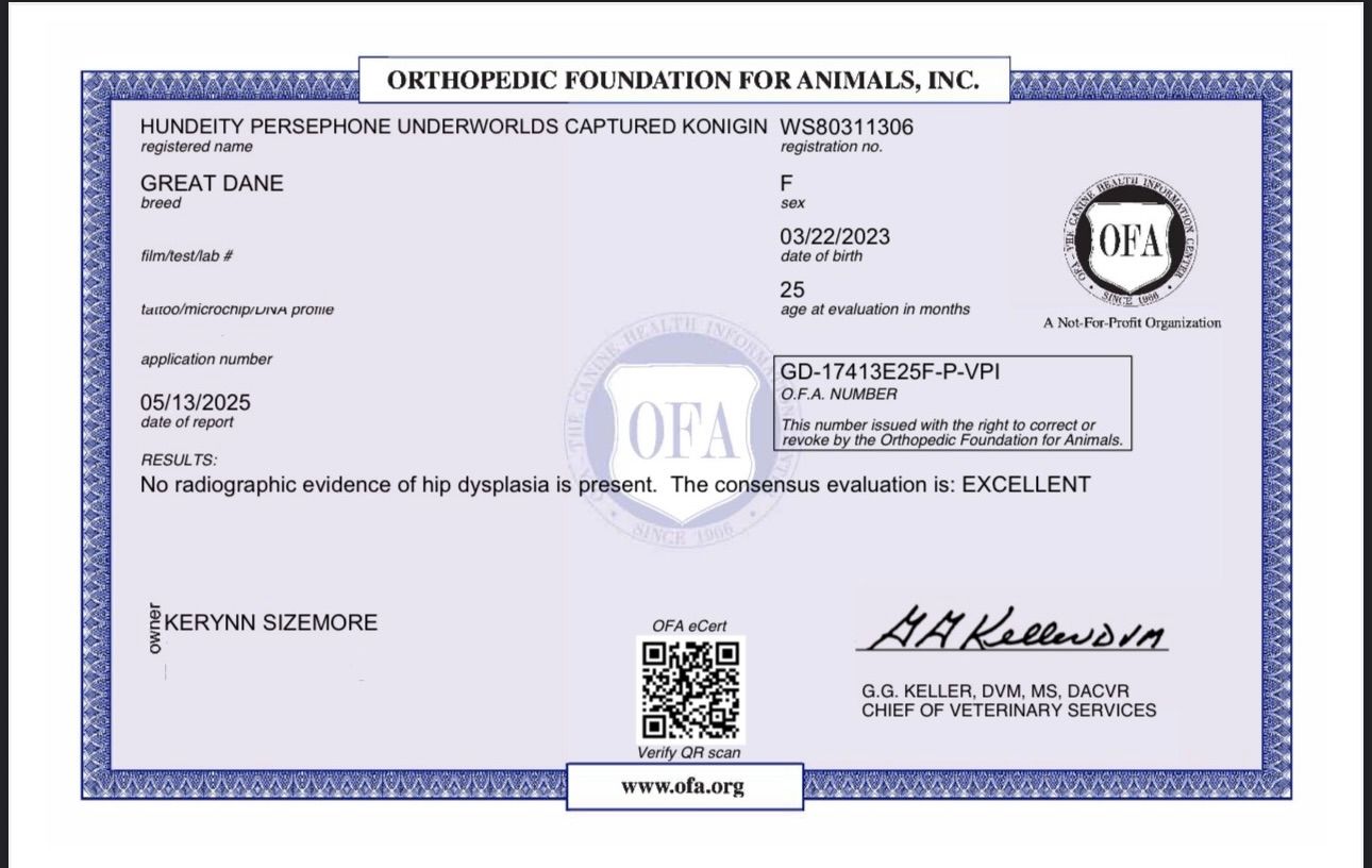 Official looking document with blue border and QR code visible.