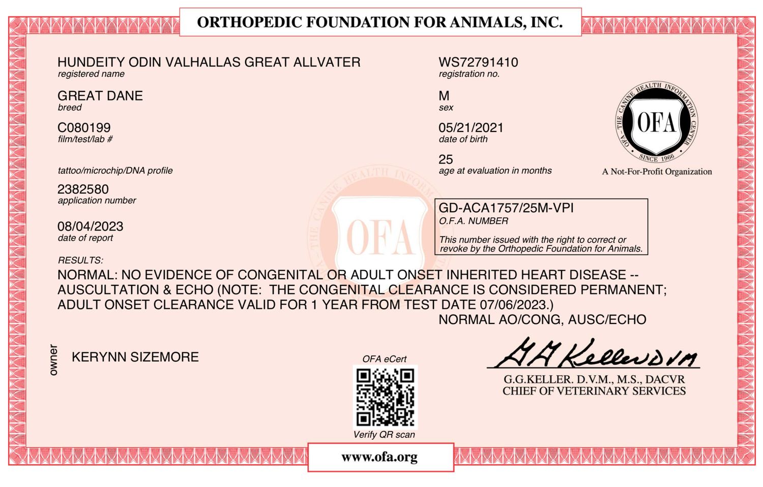 Pink certification document from Orthopedic Foundation for Animals showing clearance information.