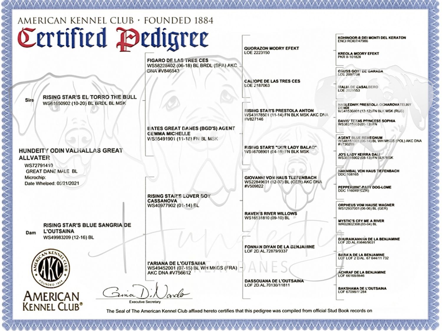An official AKC pedigree certificate document with blue border and detailed family tree information.