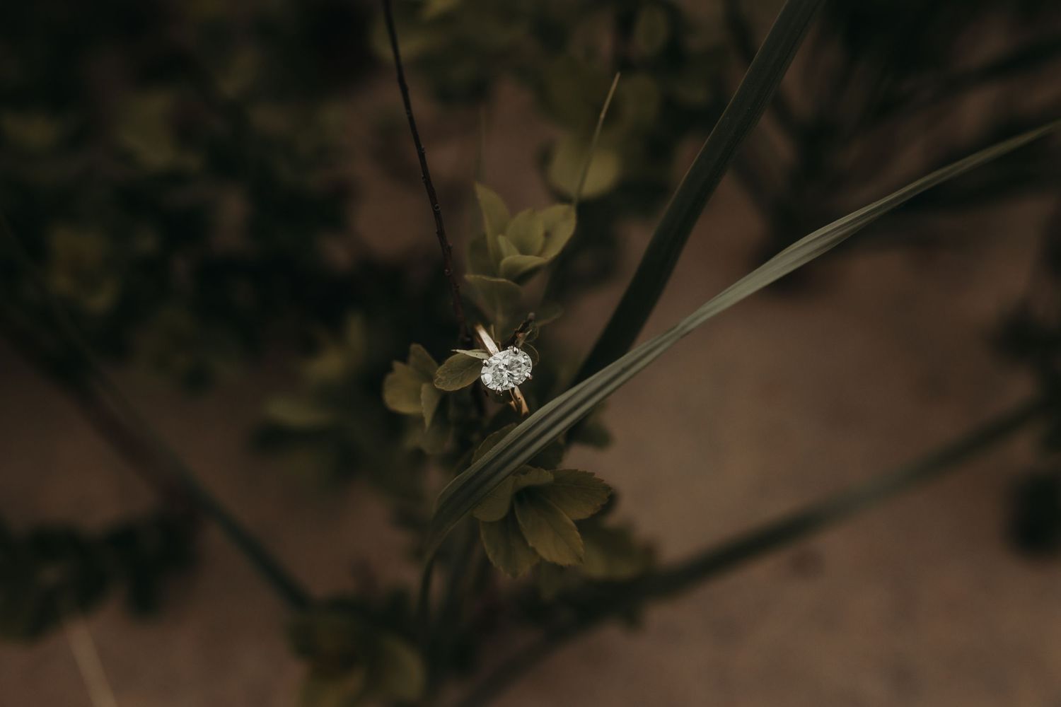 Michigan Engagement Photographer | Creative Art By Bree LLC