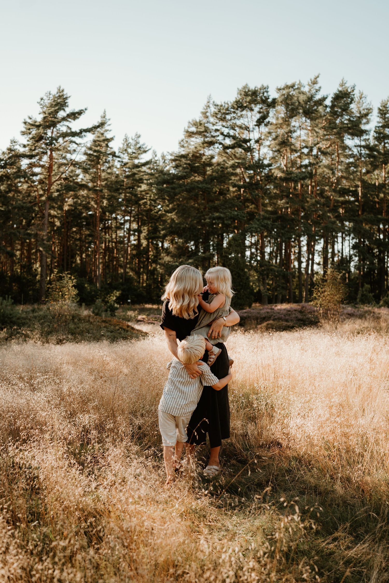 Two people embrace in a golden field at sunset with tall pine trees in the background.