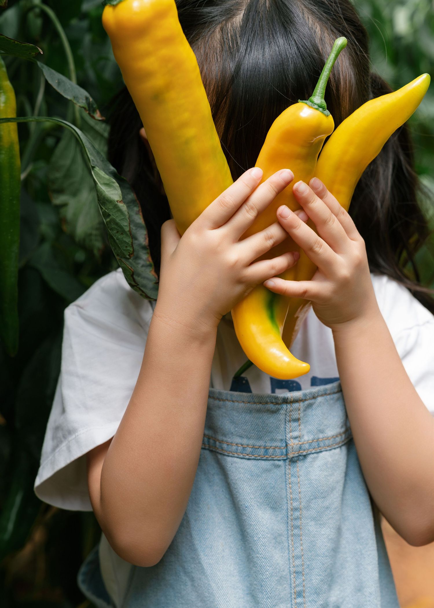 A child holds three large yellow banana peppers in front of her face while standing in a garden.