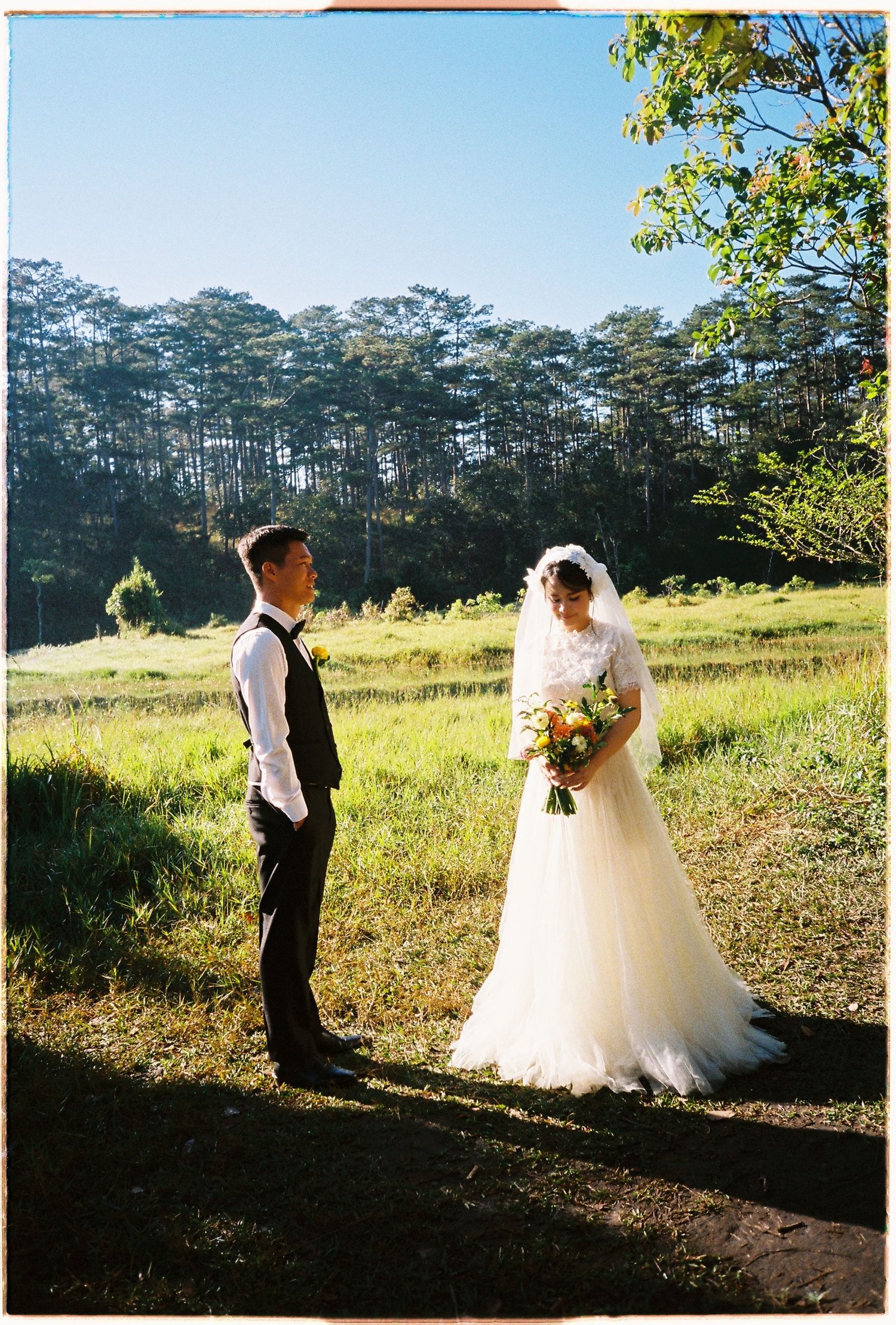 Bride and groom stand apart in sunlit meadow with pine forest backdrop on their wedding day.
