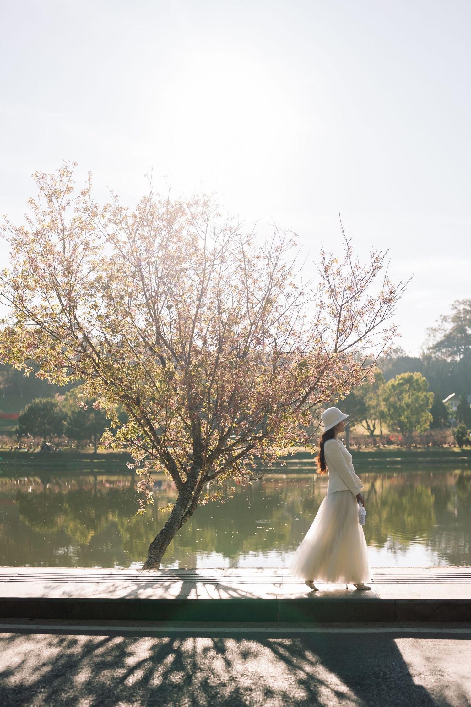 Woman in white dress and hat walking by a serene lake with blooming cherry blossom tree in soft sunlight.