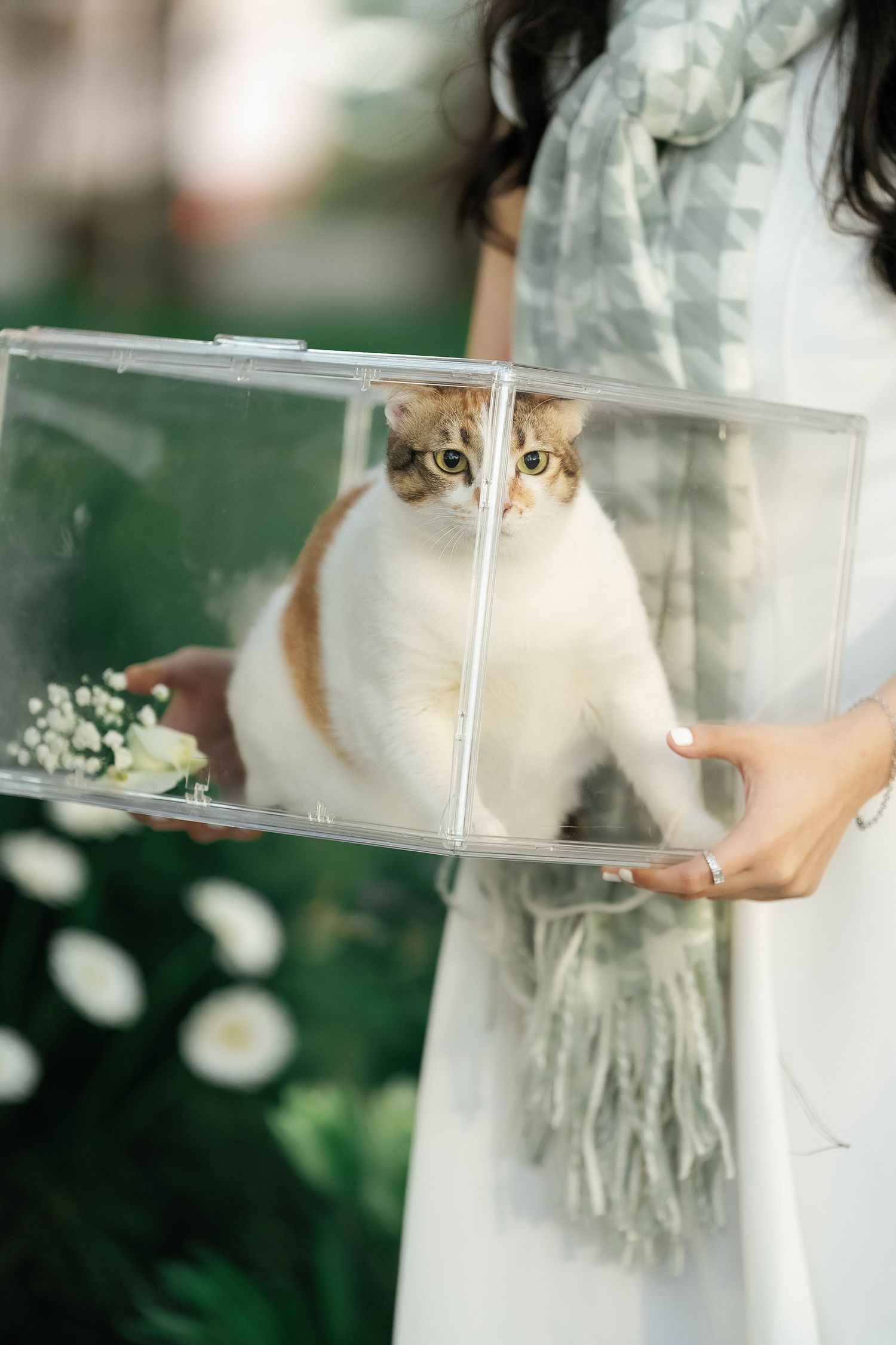 Woman in white dress holding a clear acrylic box with a calico cat inside surrounded by white flowers.