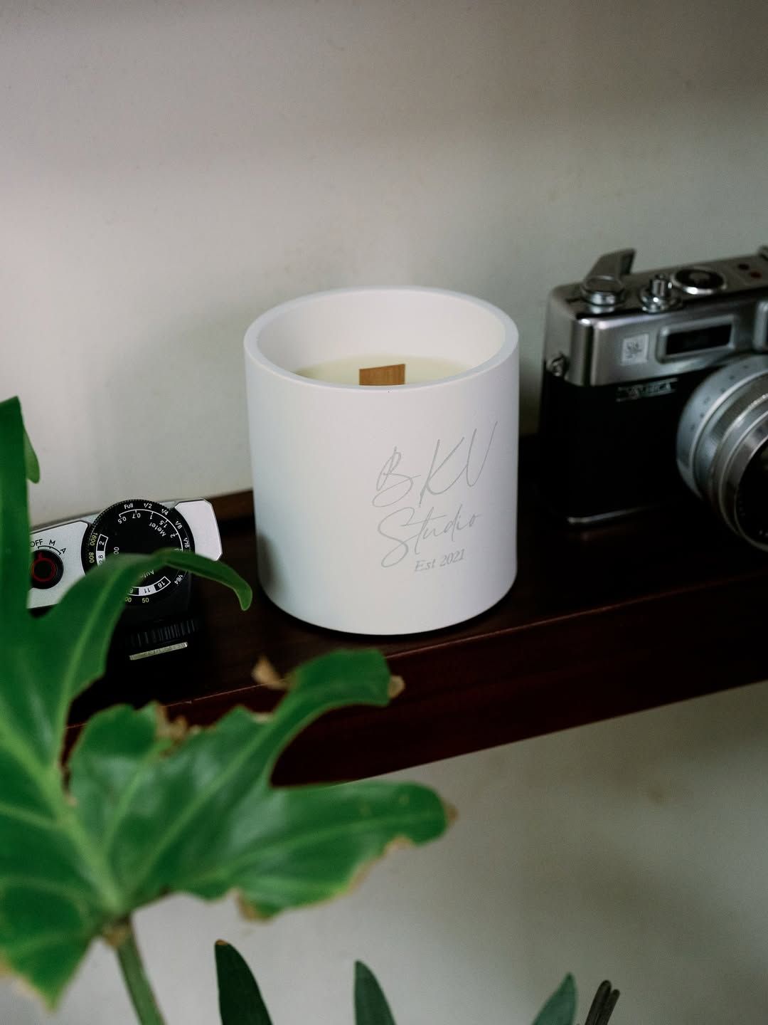 White matte candle with wooden wick on dark wood shelf beside vintage camera and green tropical leaves.