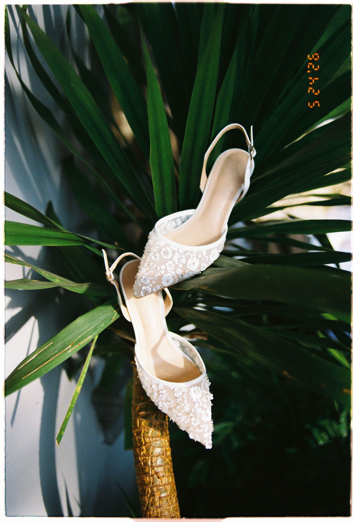 Elegant white lace slingback heels displayed on a tropical palm plant, perfect bridal wedding shoes.