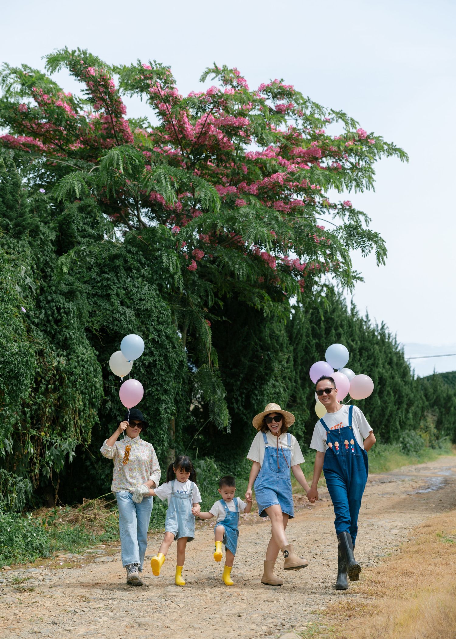 Family of four walking on a dirt path holding colorful balloons near blooming pink trees on a sunny day.