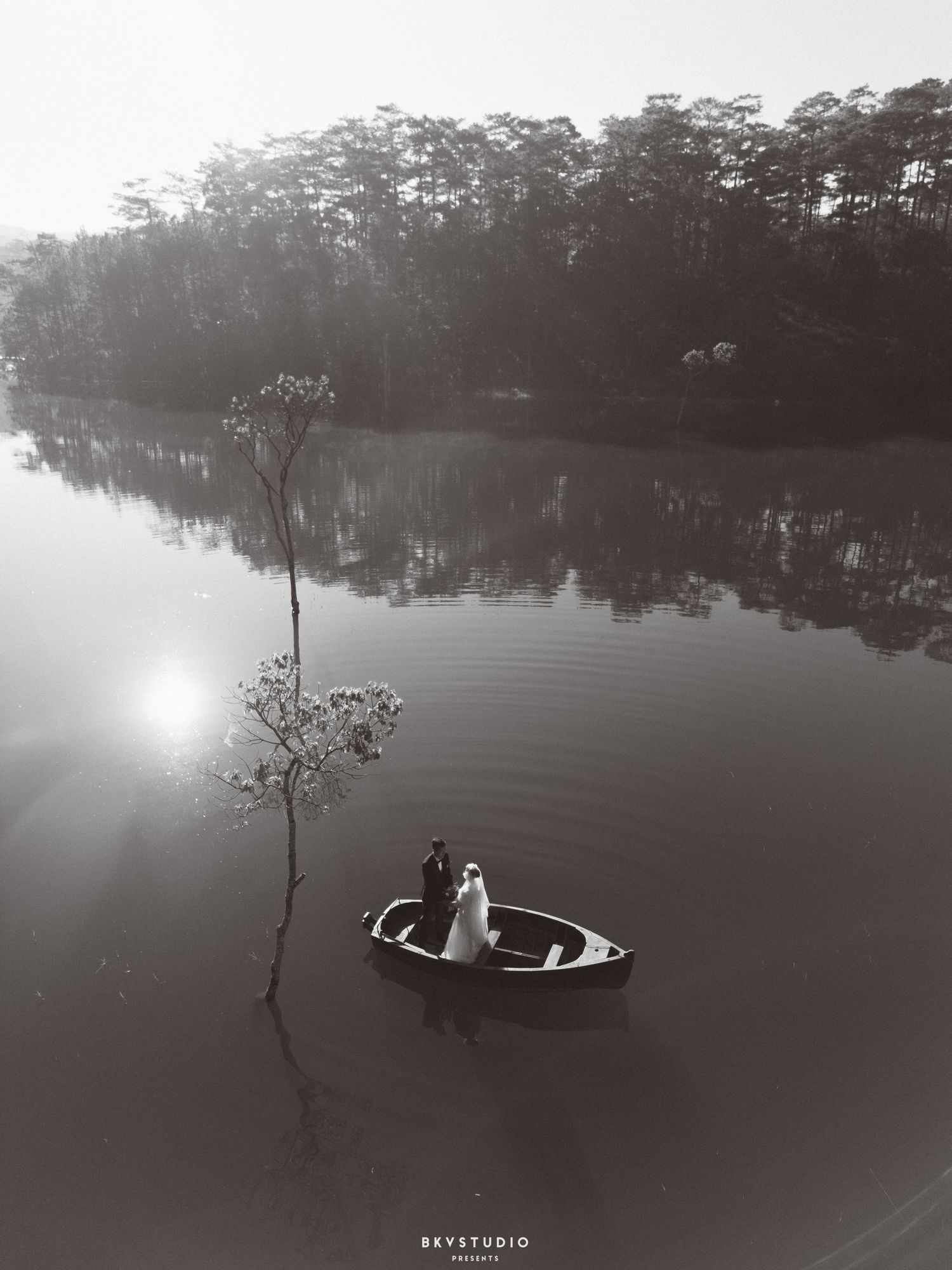 Black and white aerial photo of wedding couple in boat on still lake with lone bare tree.
