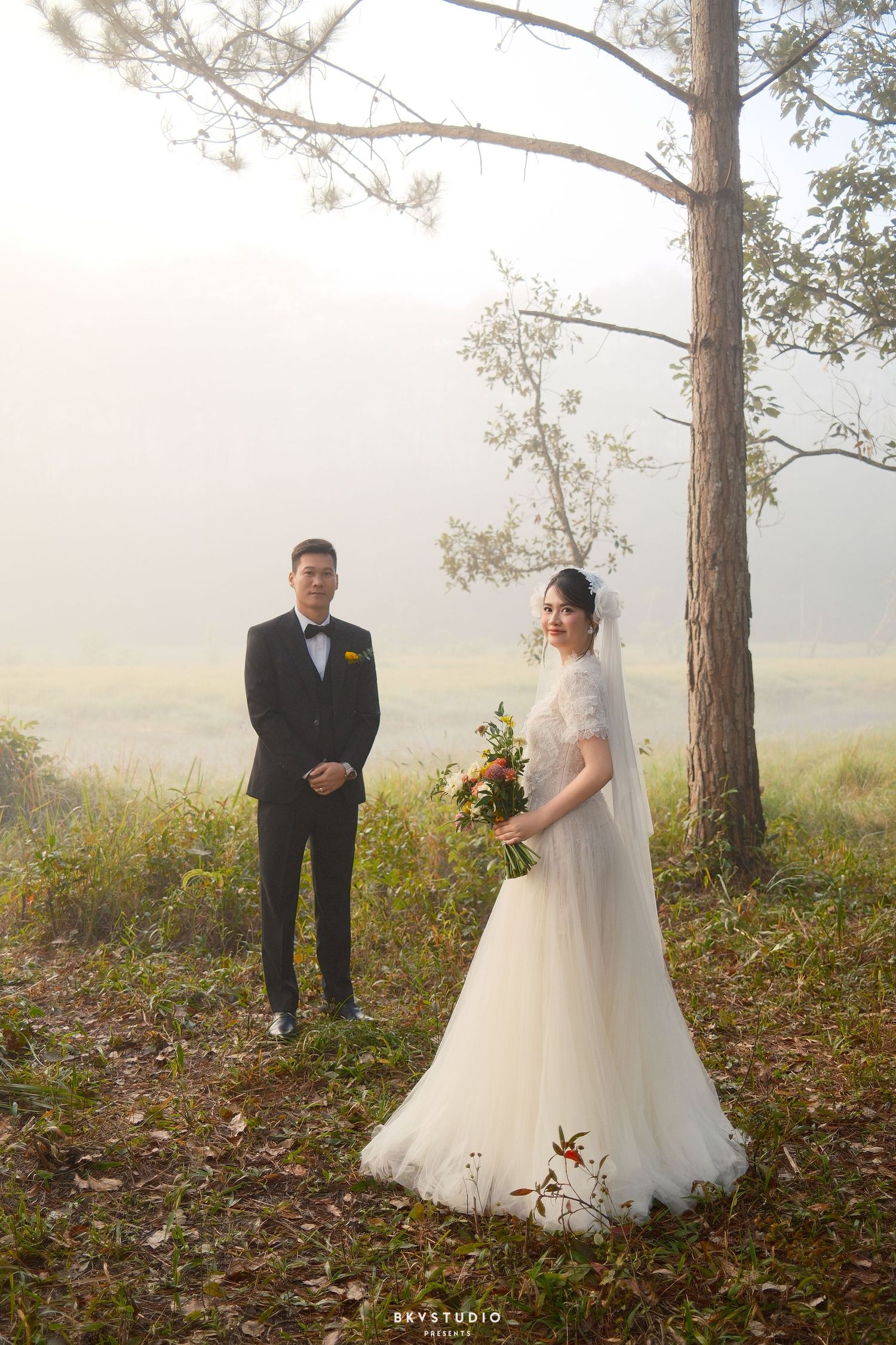 Bride and groom pose separately in a misty pine forest with golden light and open meadow backdrop.