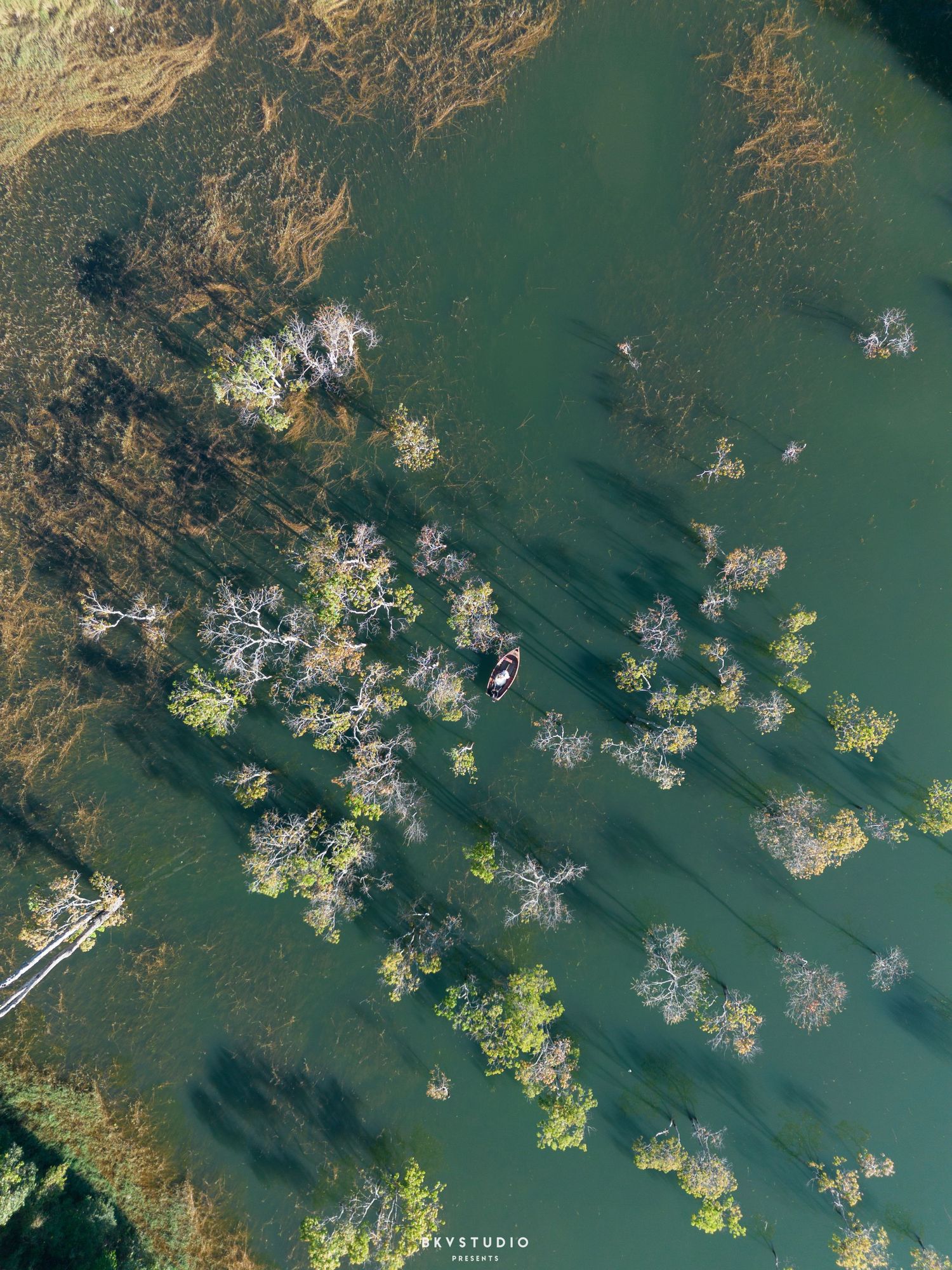 Aerial drone view of lush green lake with scattered trees and small boat visible from above.