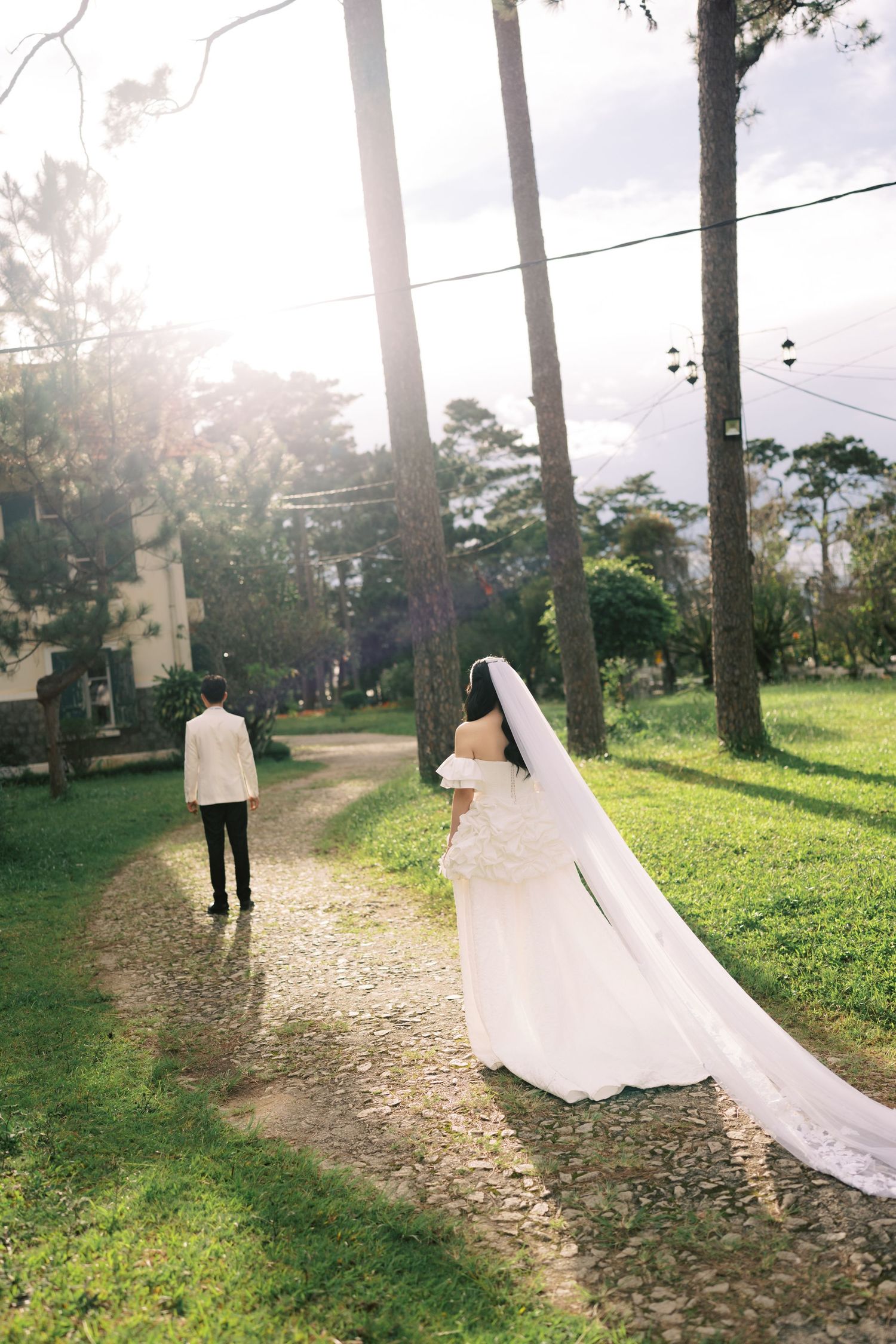 Bride in white gown and veil walks toward groom on a sunlit stone path surrounded by tall pine trees.