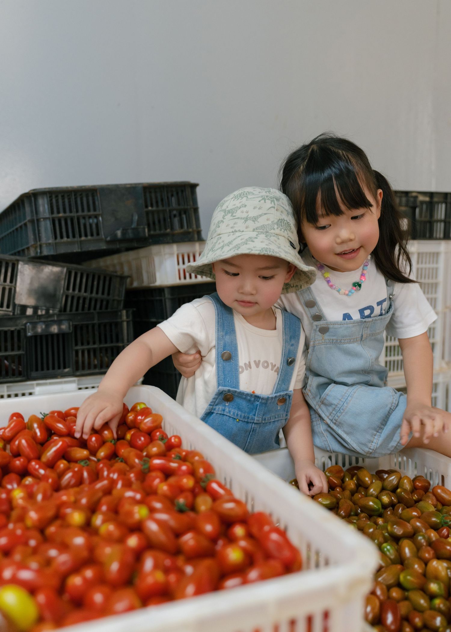 Two young Asian children in denim overalls sorting fresh red cherry tomatoes in plastic crates at a market.