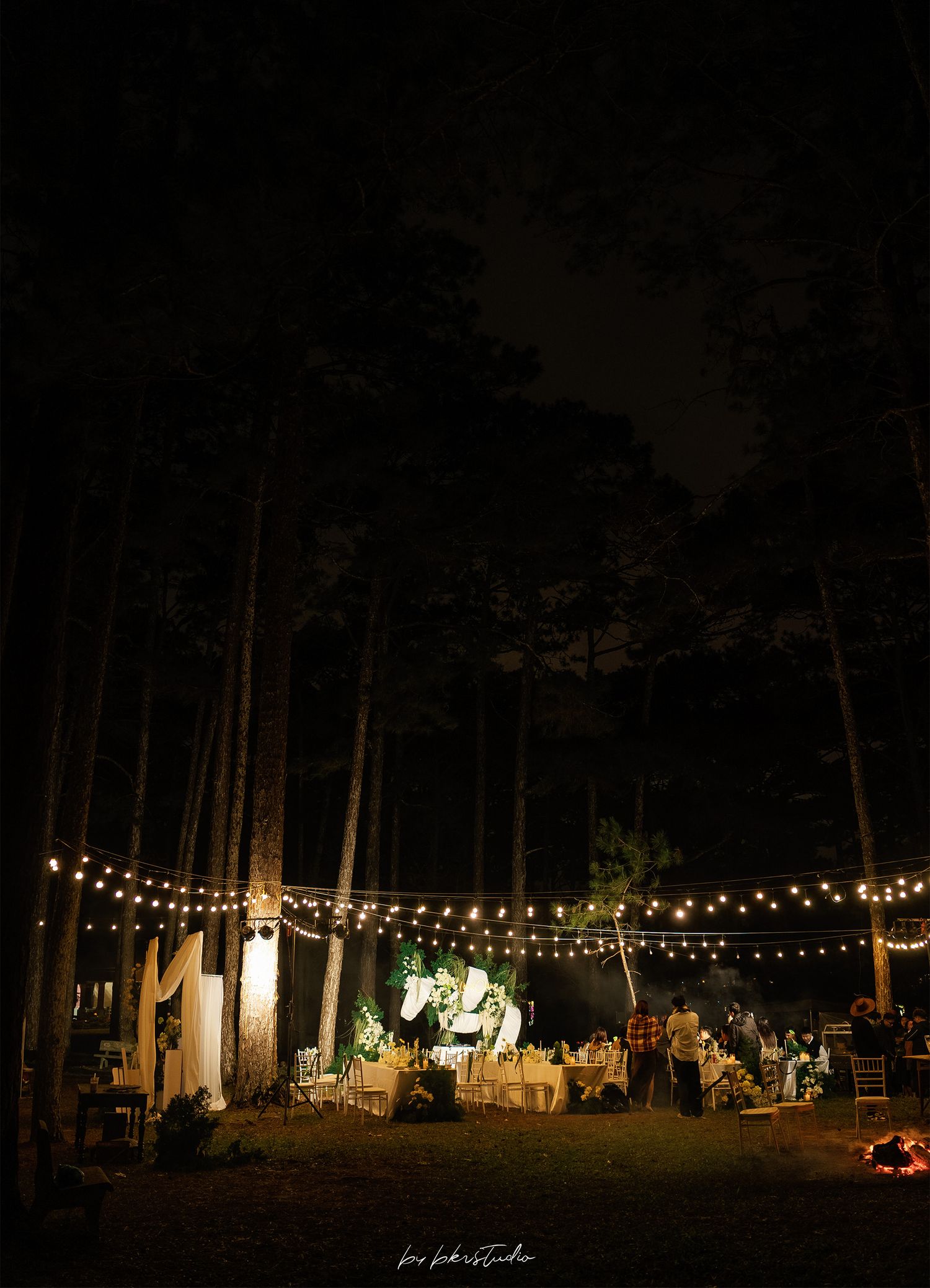 Outdoor nighttime event in forest with string lights and projection screen illuminating dining tables among tall trees.