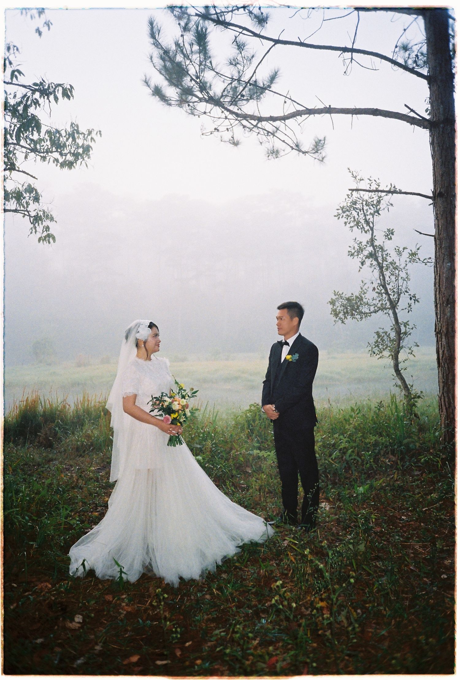 A bride and groom stand among misty pine trees and meadows in a romantic outdoor wedding portrait.