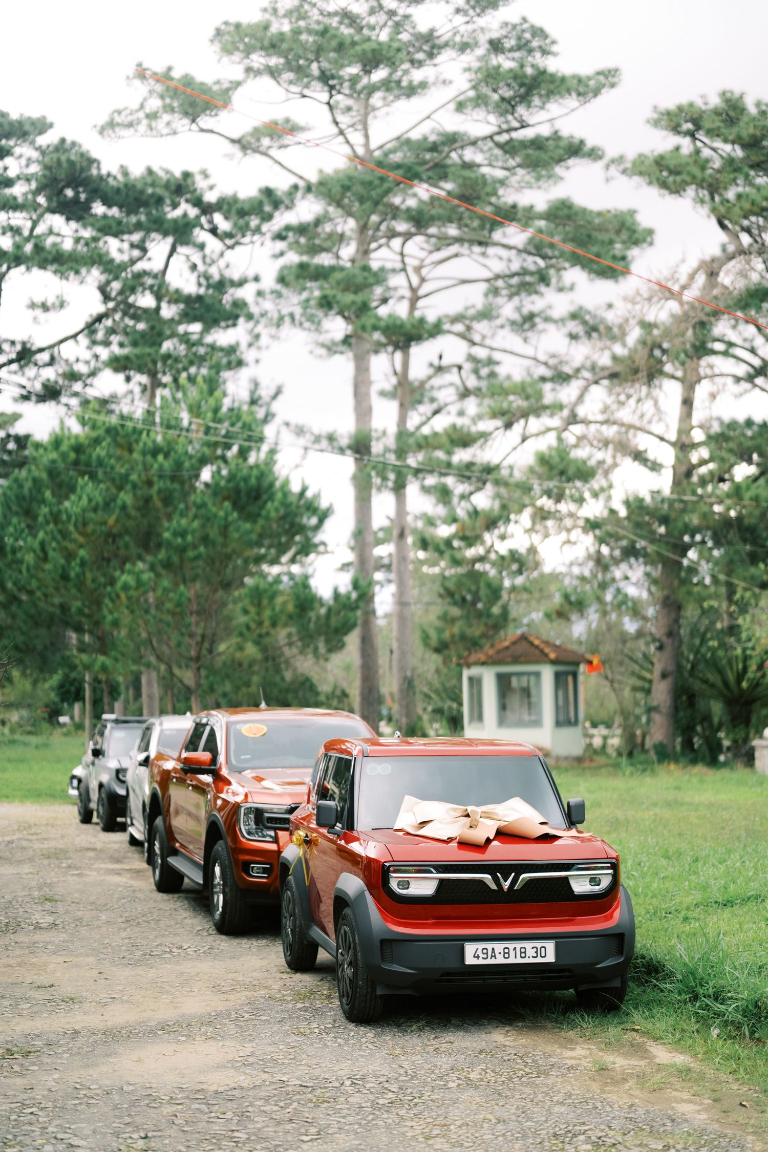 Red VinFast electric SUVs lined up on a dirt road surrounded by tall pine trees in Vietnam.