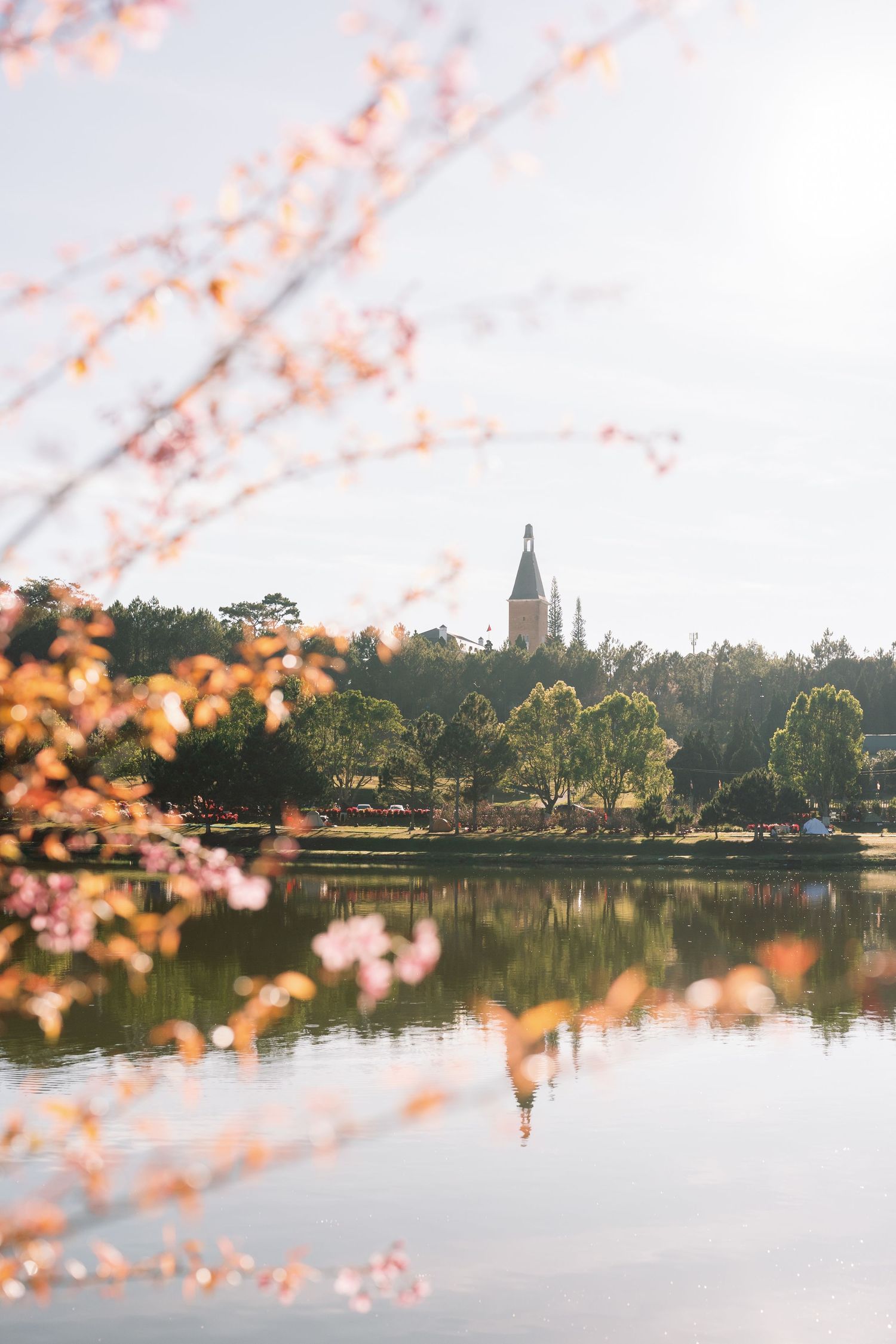 Serene lake view with cherry blossoms in foreground and a historic church tower reflected in calm water during golden hour.