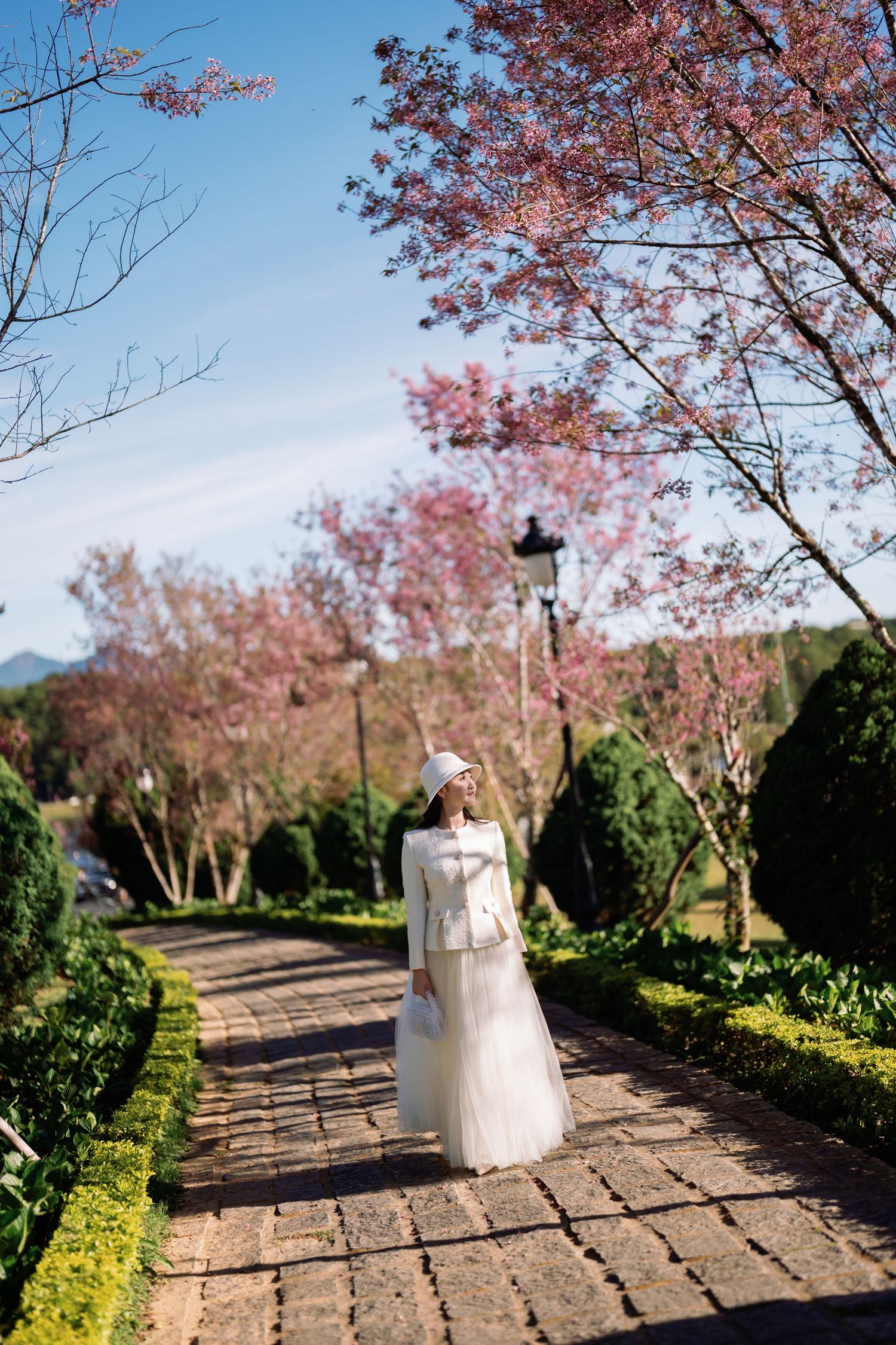 Woman in white dress and hat strolling a brick path lined with pink cherry blossom trees in a serene garden.