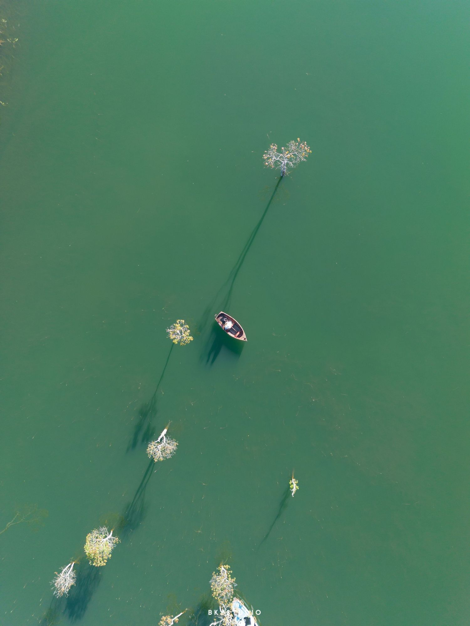 Aerial view of a small wooden boat floating on green water with aquatic plants visible beneath the surface.