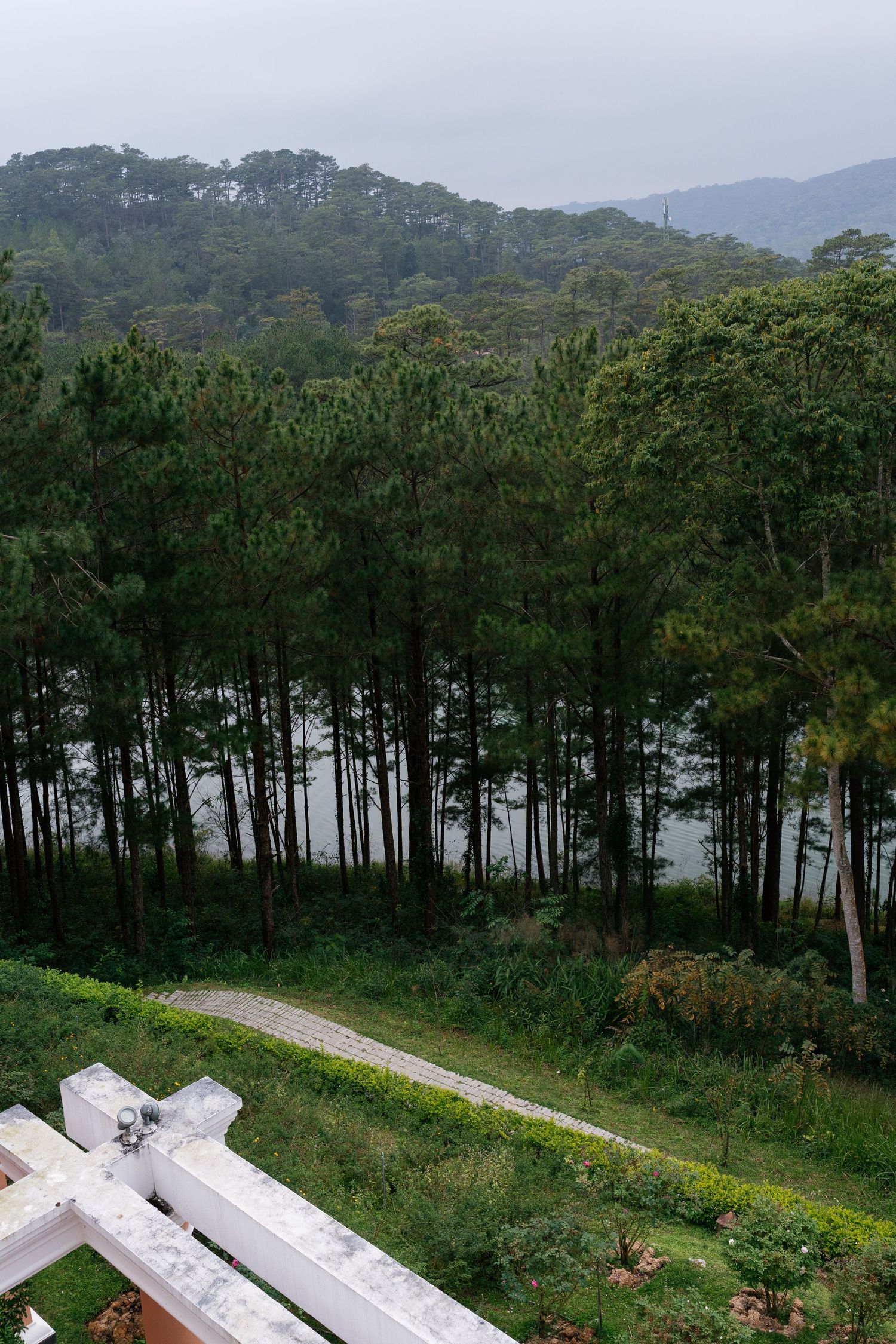 Misty forest with tall pine trees overlooking a serene lake, lush greenery, winding path, and mountain backdrop.